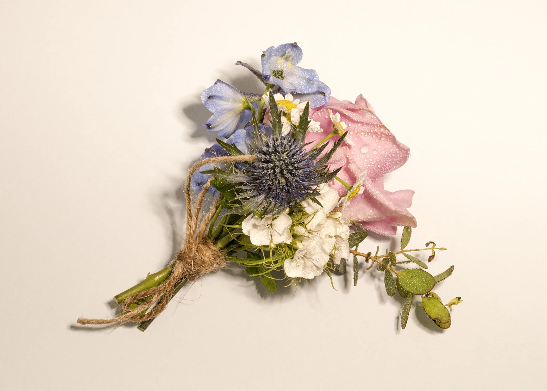 Florist7.jpg