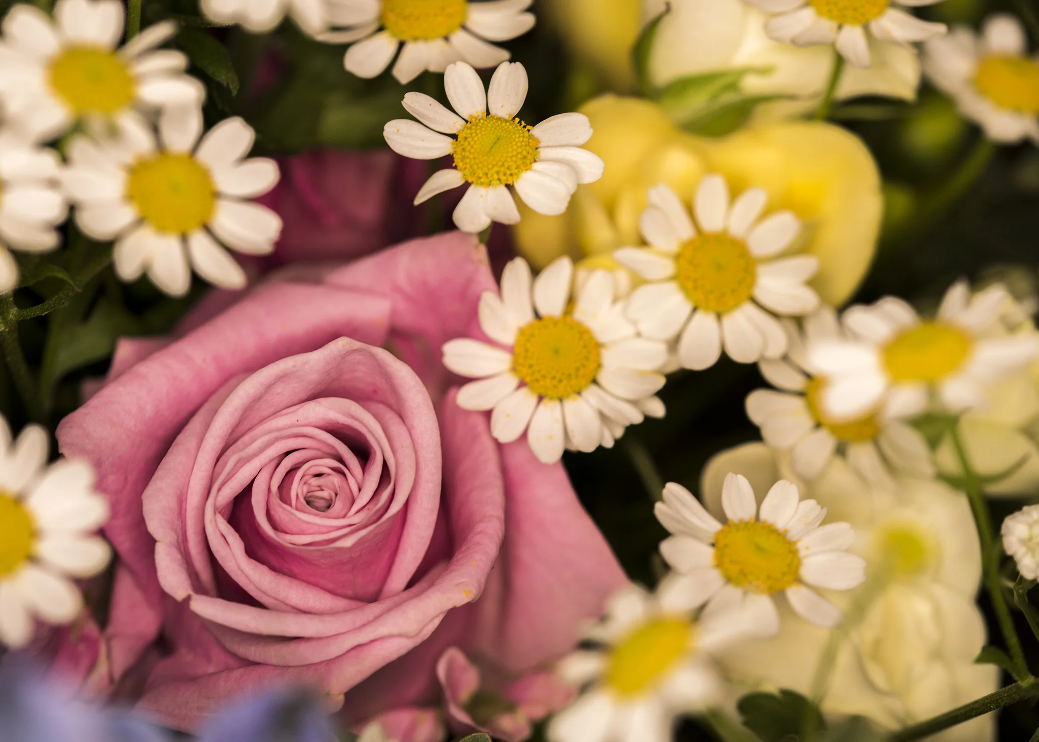 Florist11.jpg