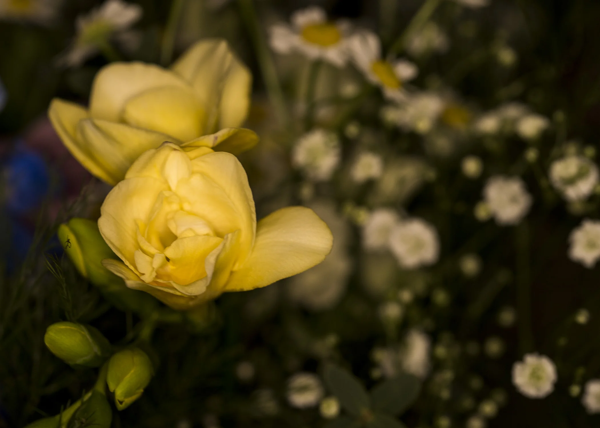 Florist12.jpg