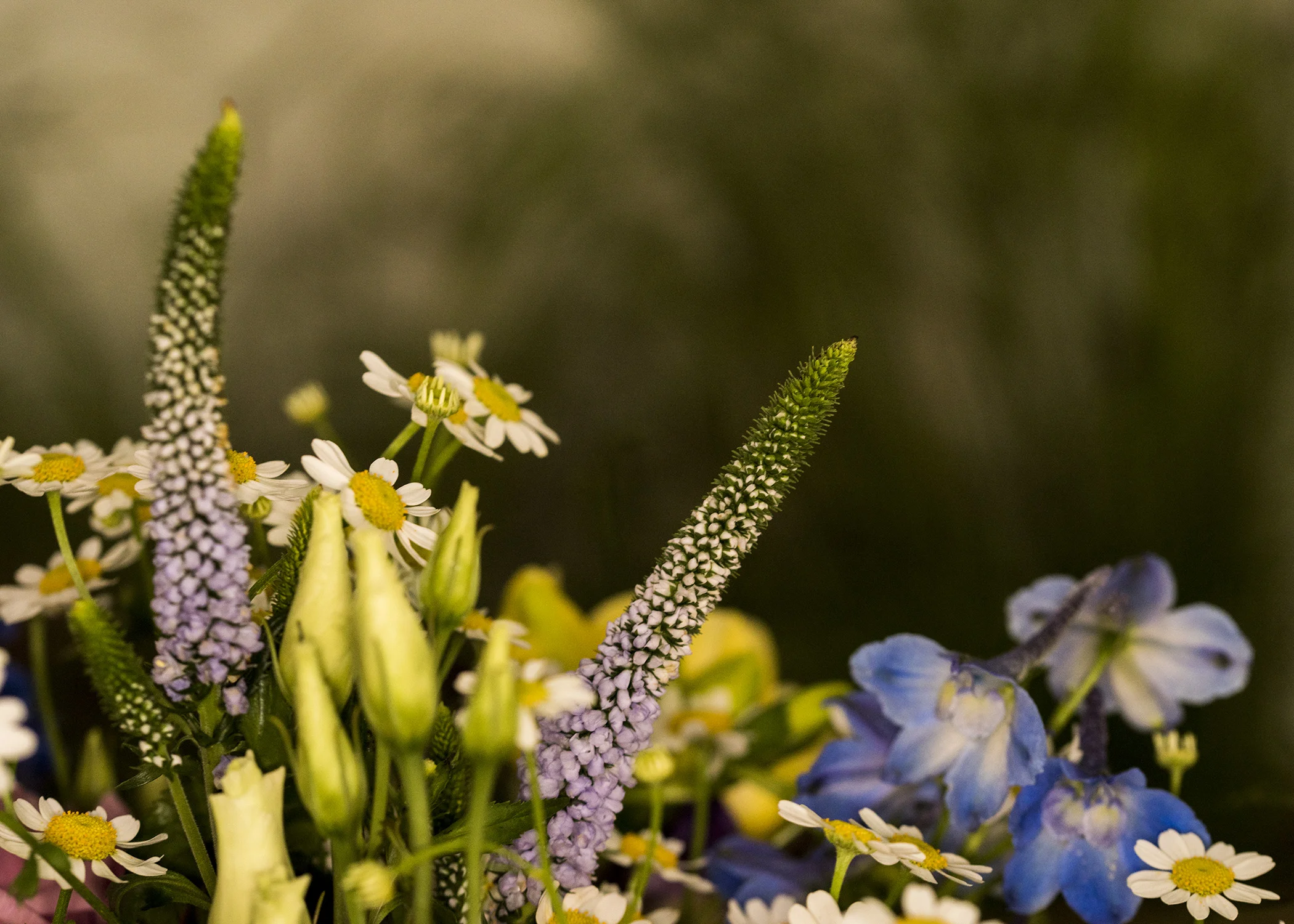 Florist15.jpg
