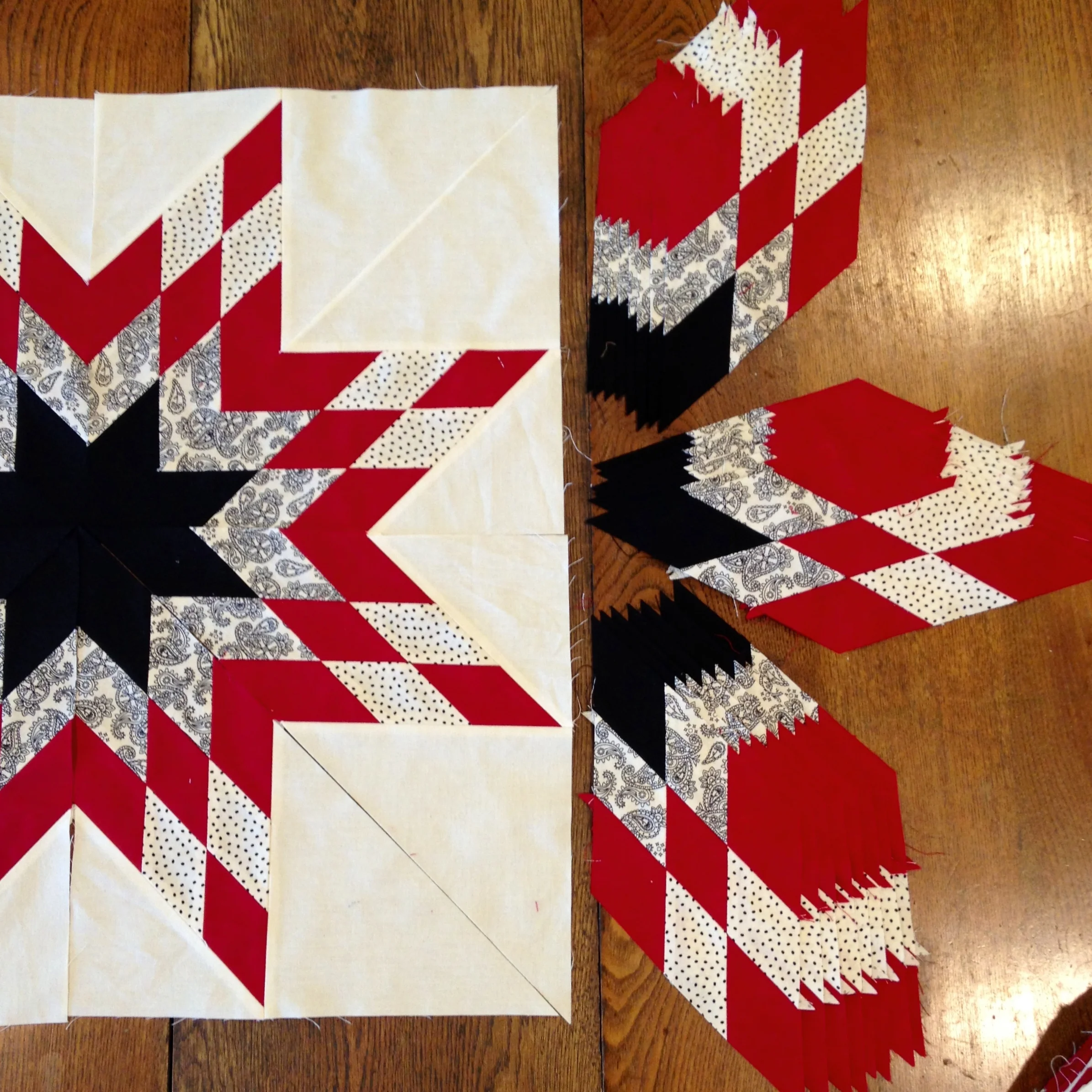 lone star in pieces.jpg