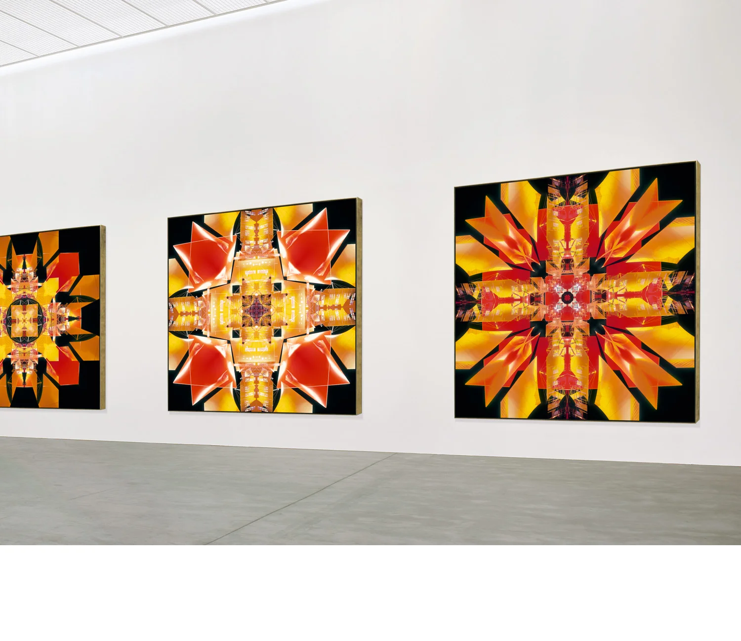 Jeroen van Esch - 2005-2014, Epoch of Universality