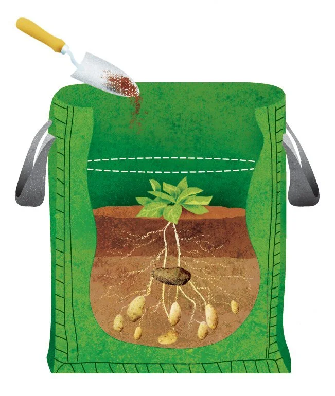 POTATO-BAG-1c.jessop.jpg