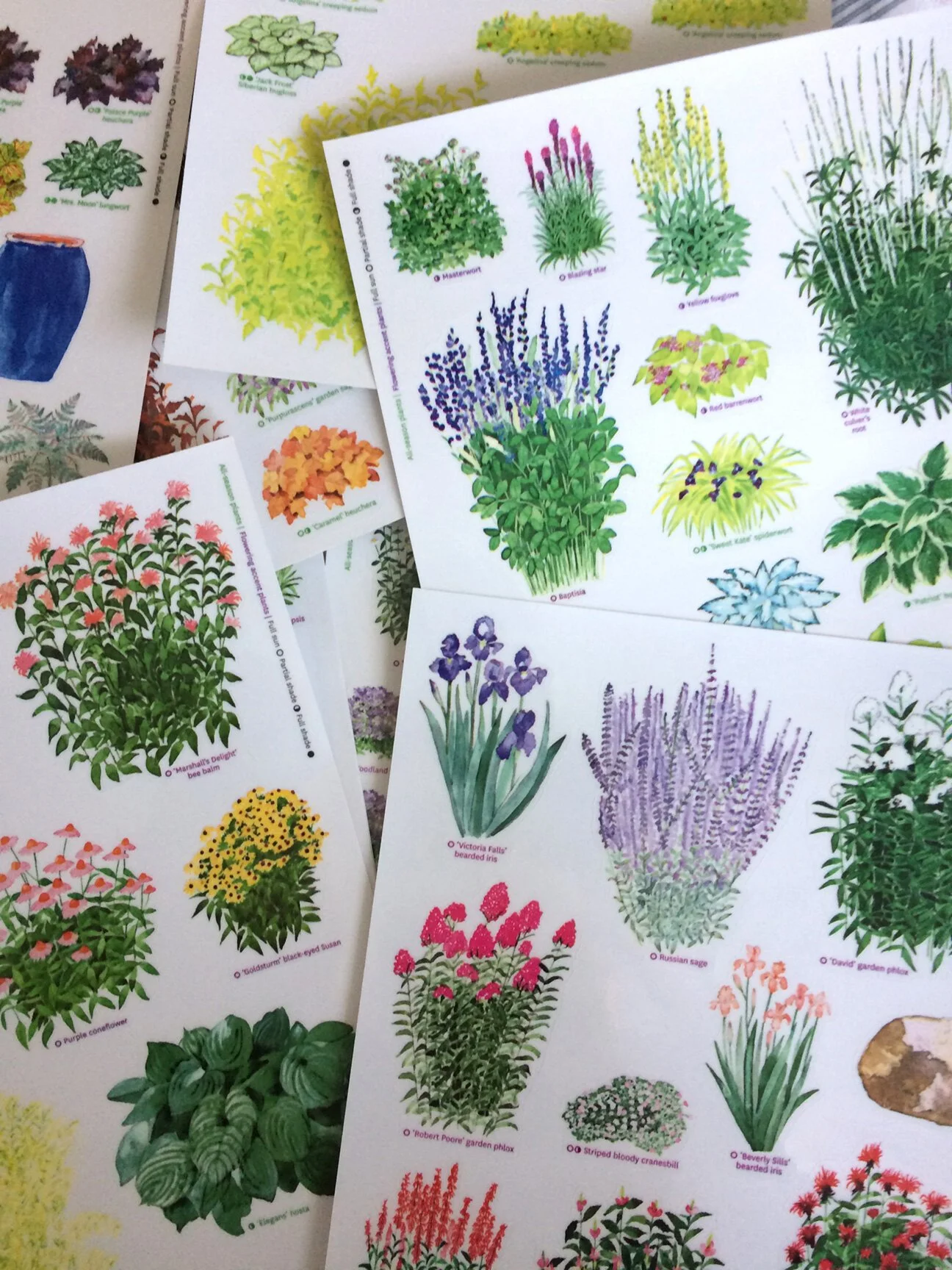 garden-stickers2.jpg