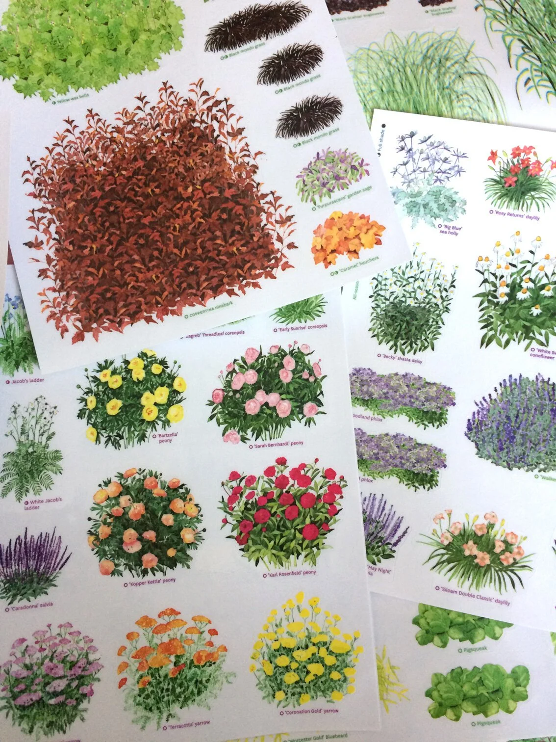 garden-stickers1.jpg