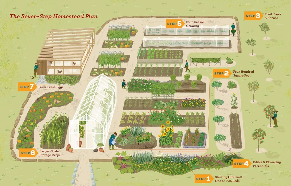 Homestead-Jessop.jpg