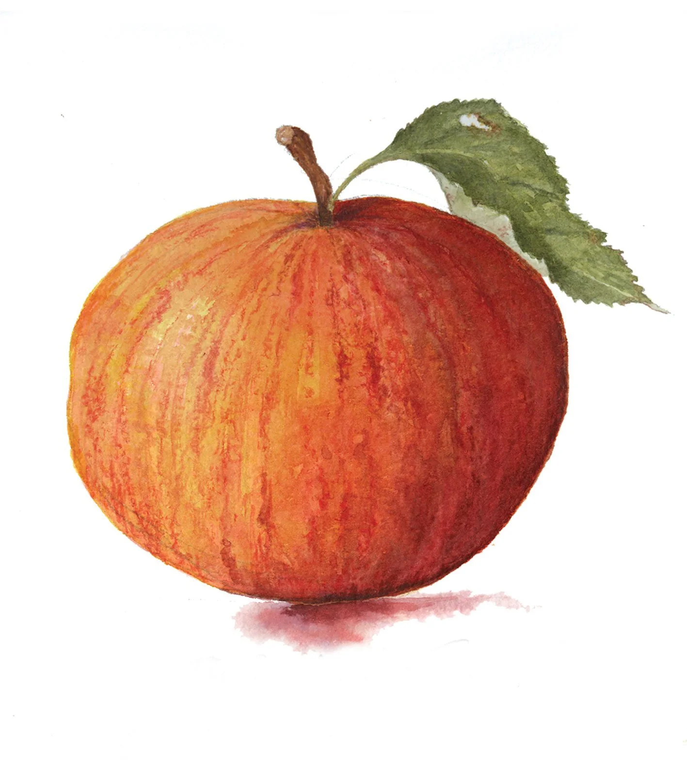 apple-jessop.jpg