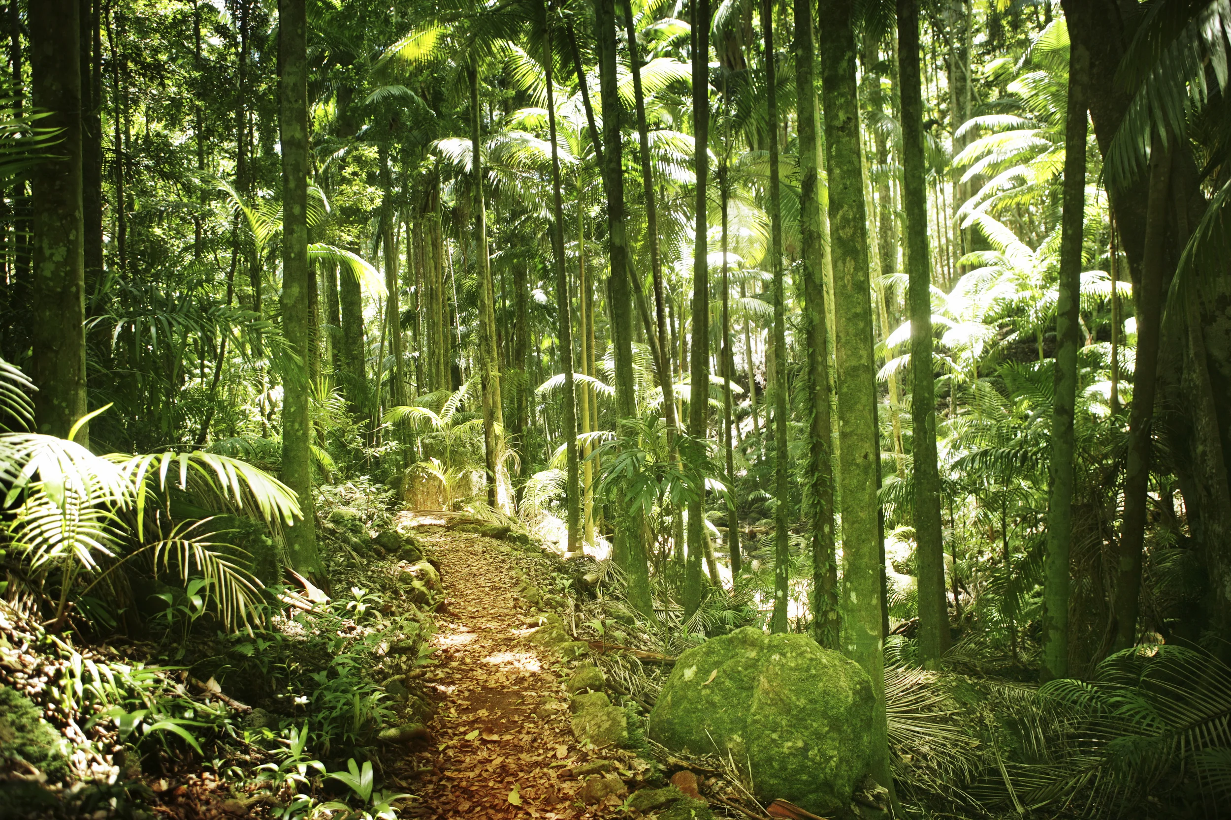 iStock_000001100858_Large.jpg