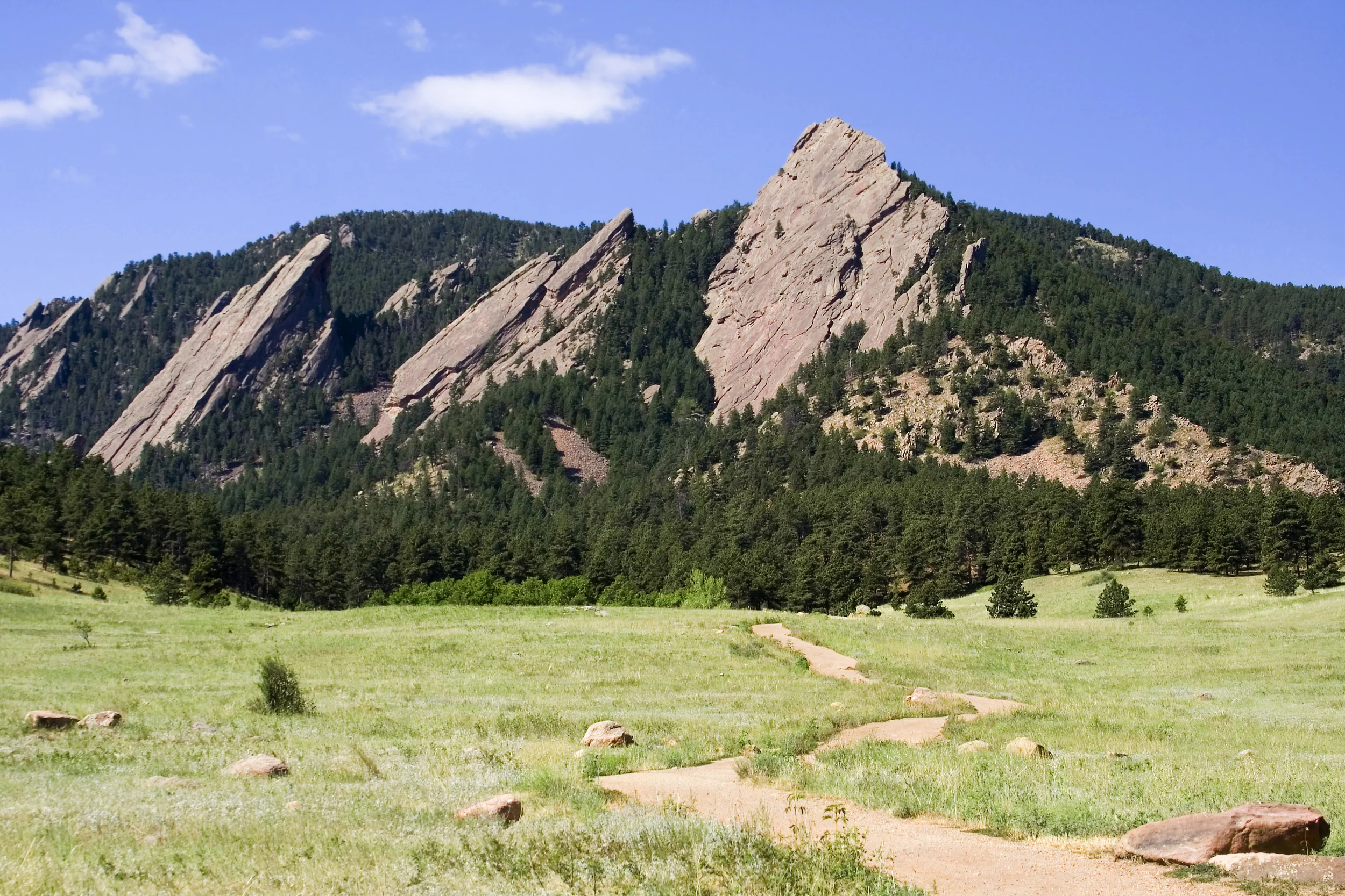 iStock_000001805248_Large.jpg