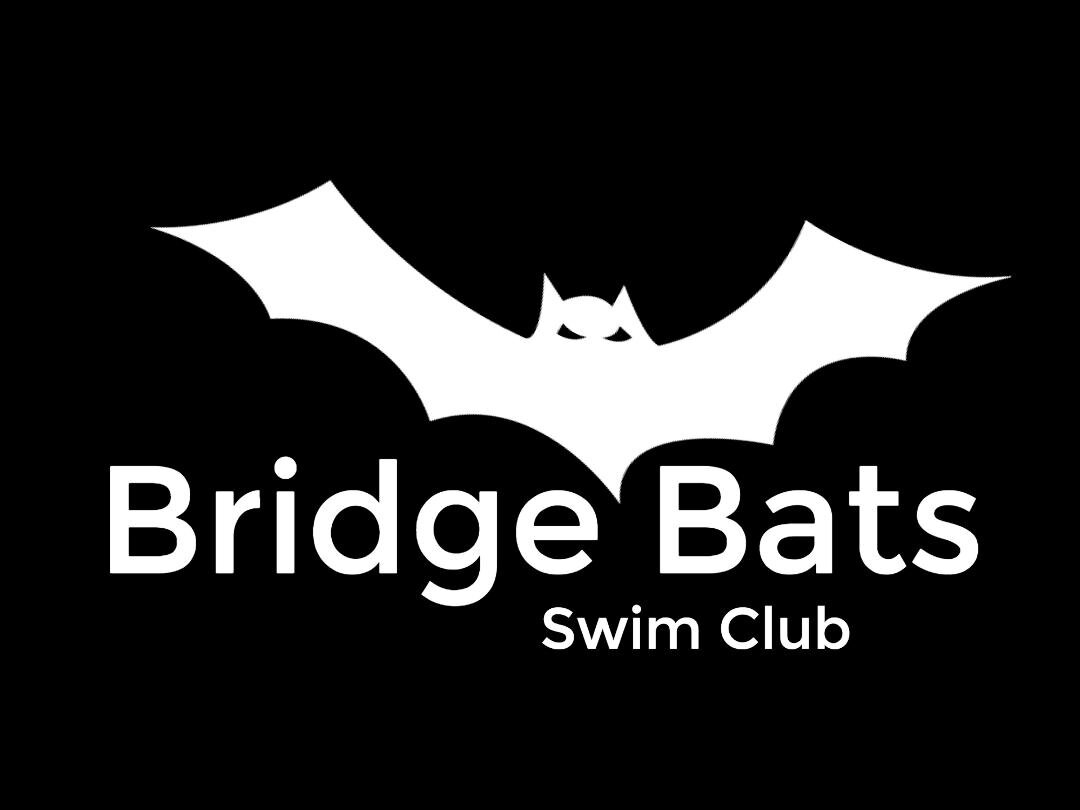 Bridge Bats