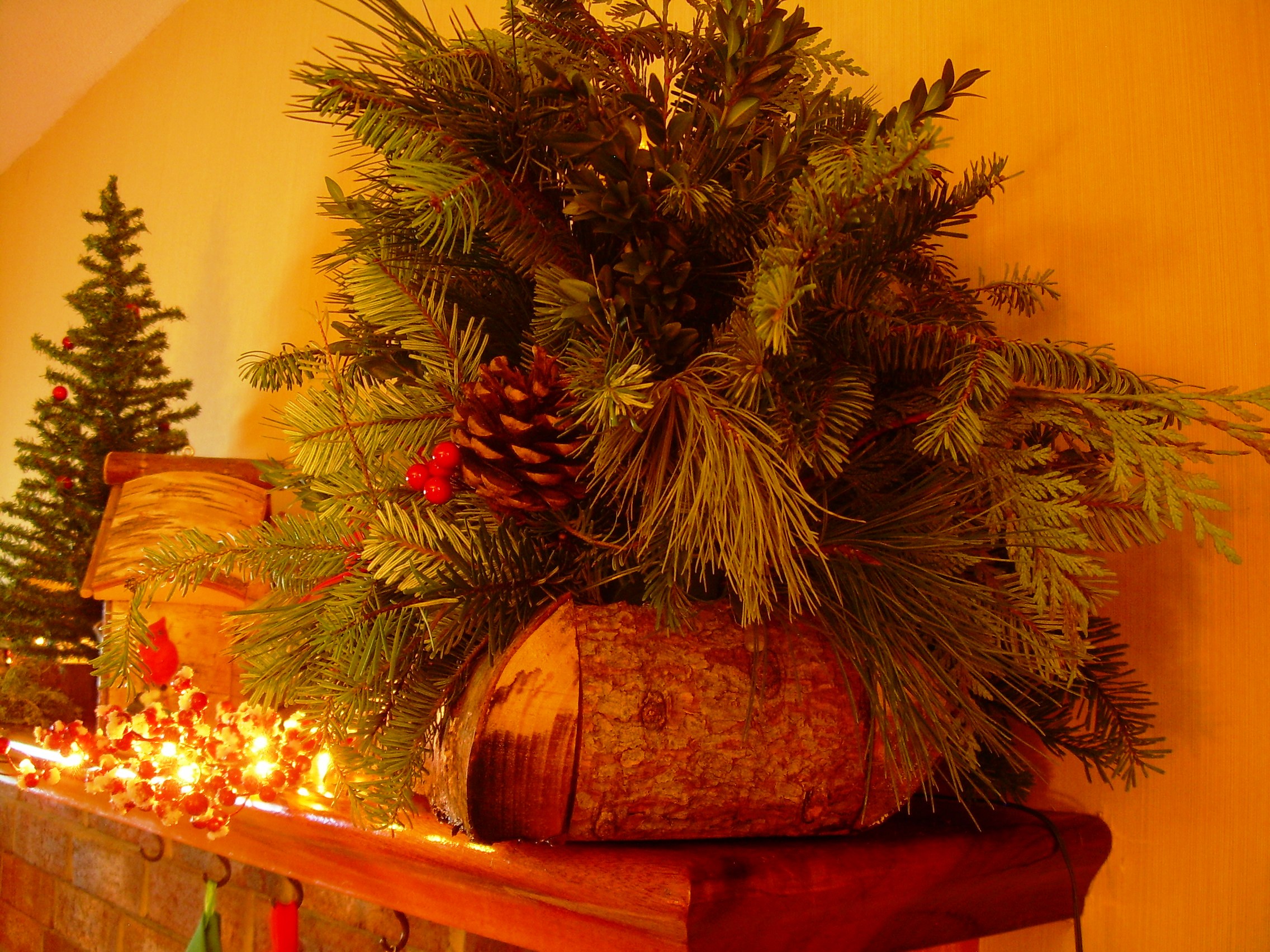 indoor/outdoor mixed evergreen log basket arrangement