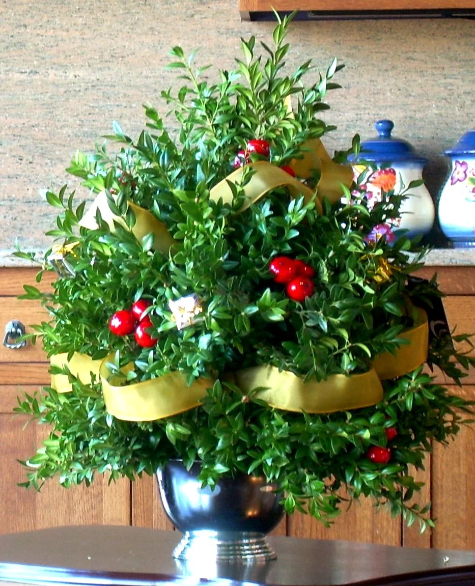 long-lasting boxwood tree arrangement