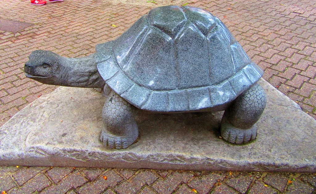 Concord Arts Market Saturday August 12