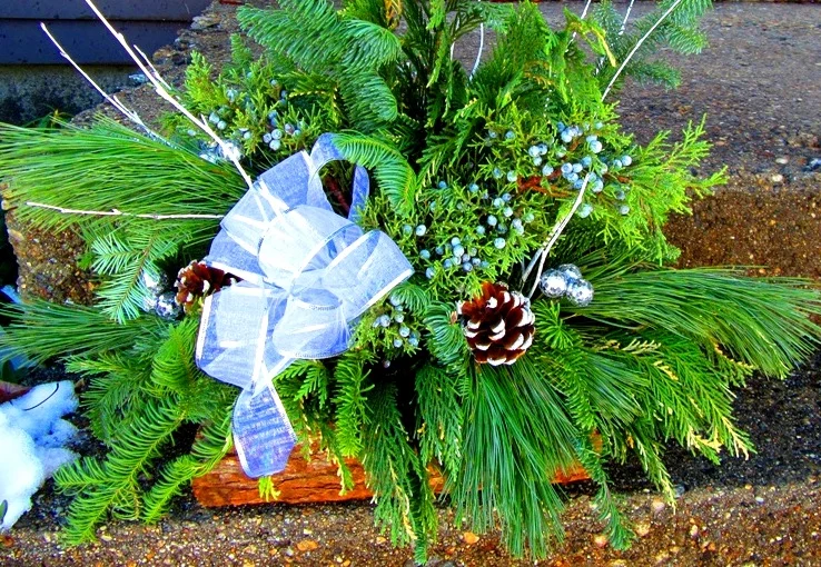 Log basket arrangement with mixed fresh evergreens