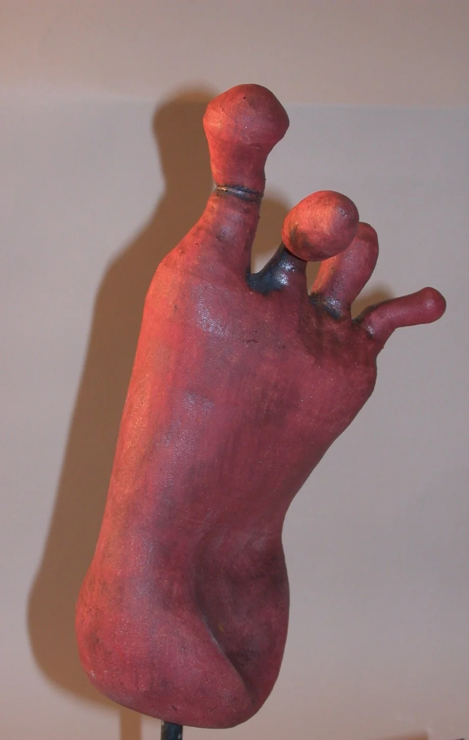 red foot 4.jpg