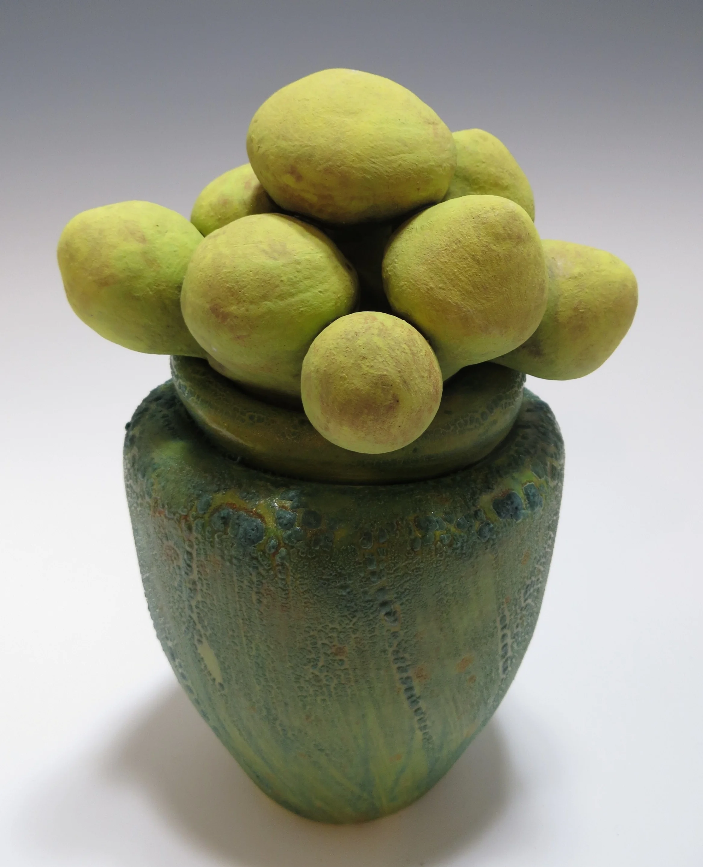Puffy Chartreuse Succulent Jar