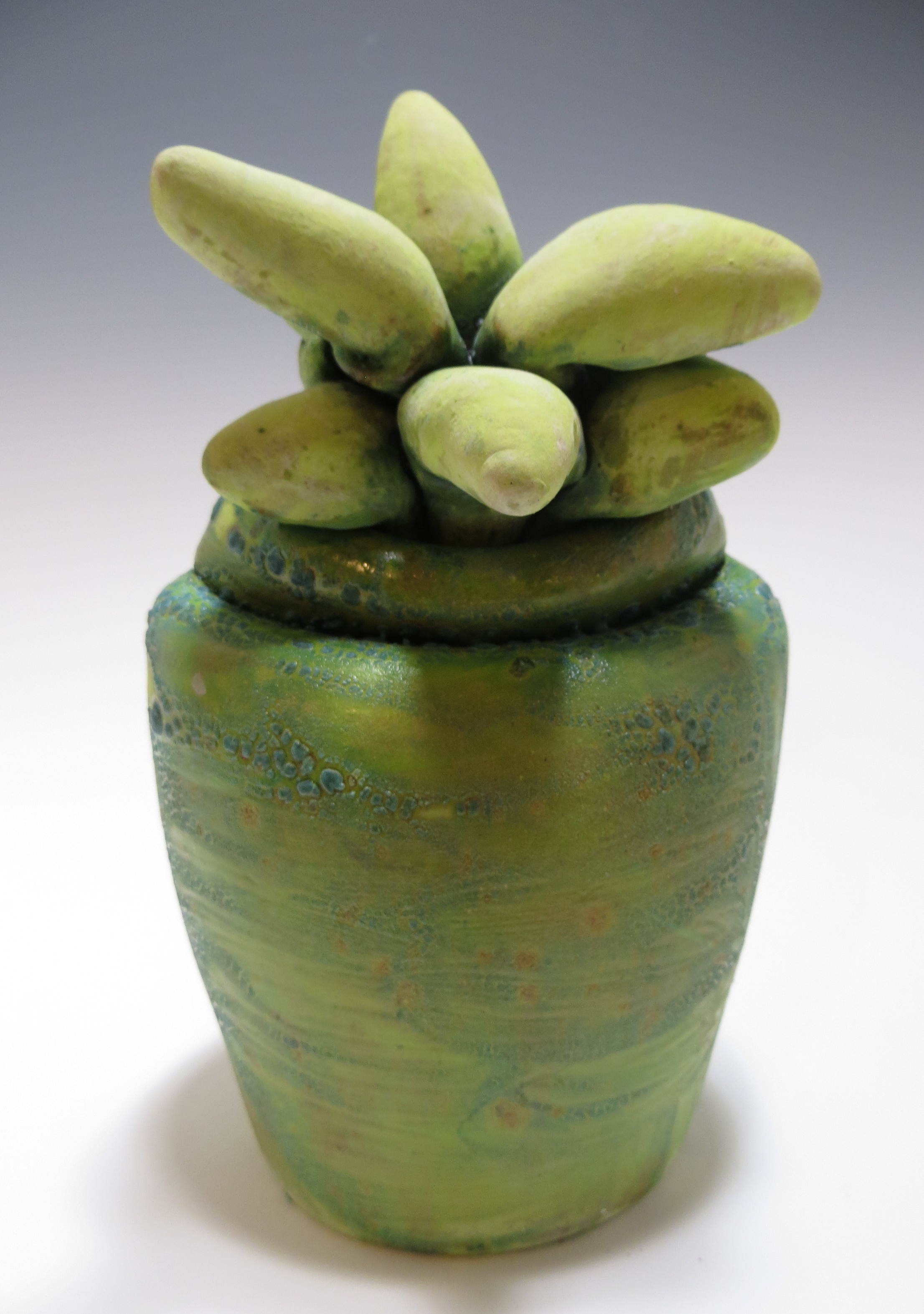 Pointy Chartreuse Succulent Jar