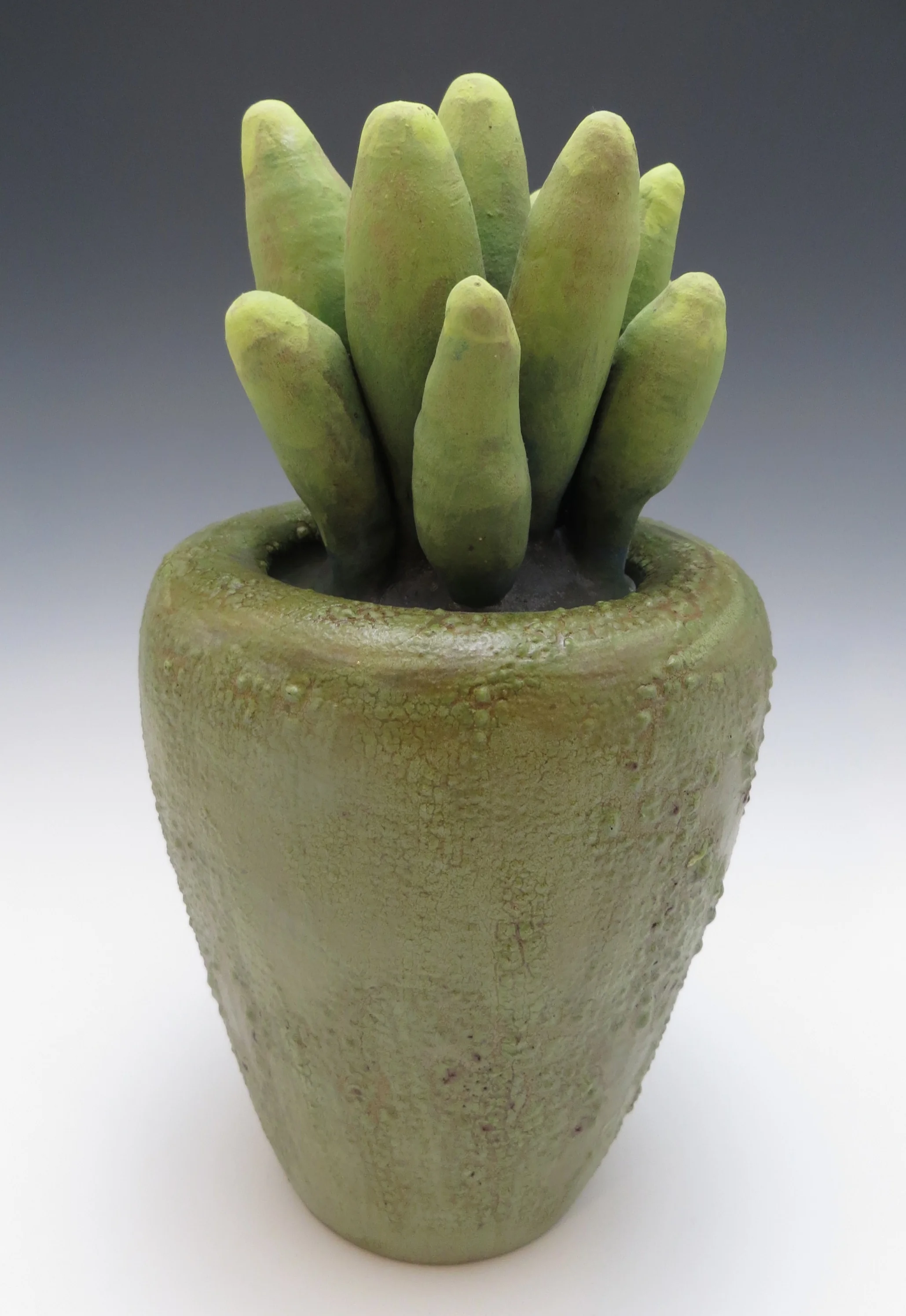 Pointy Bromeliad Jar