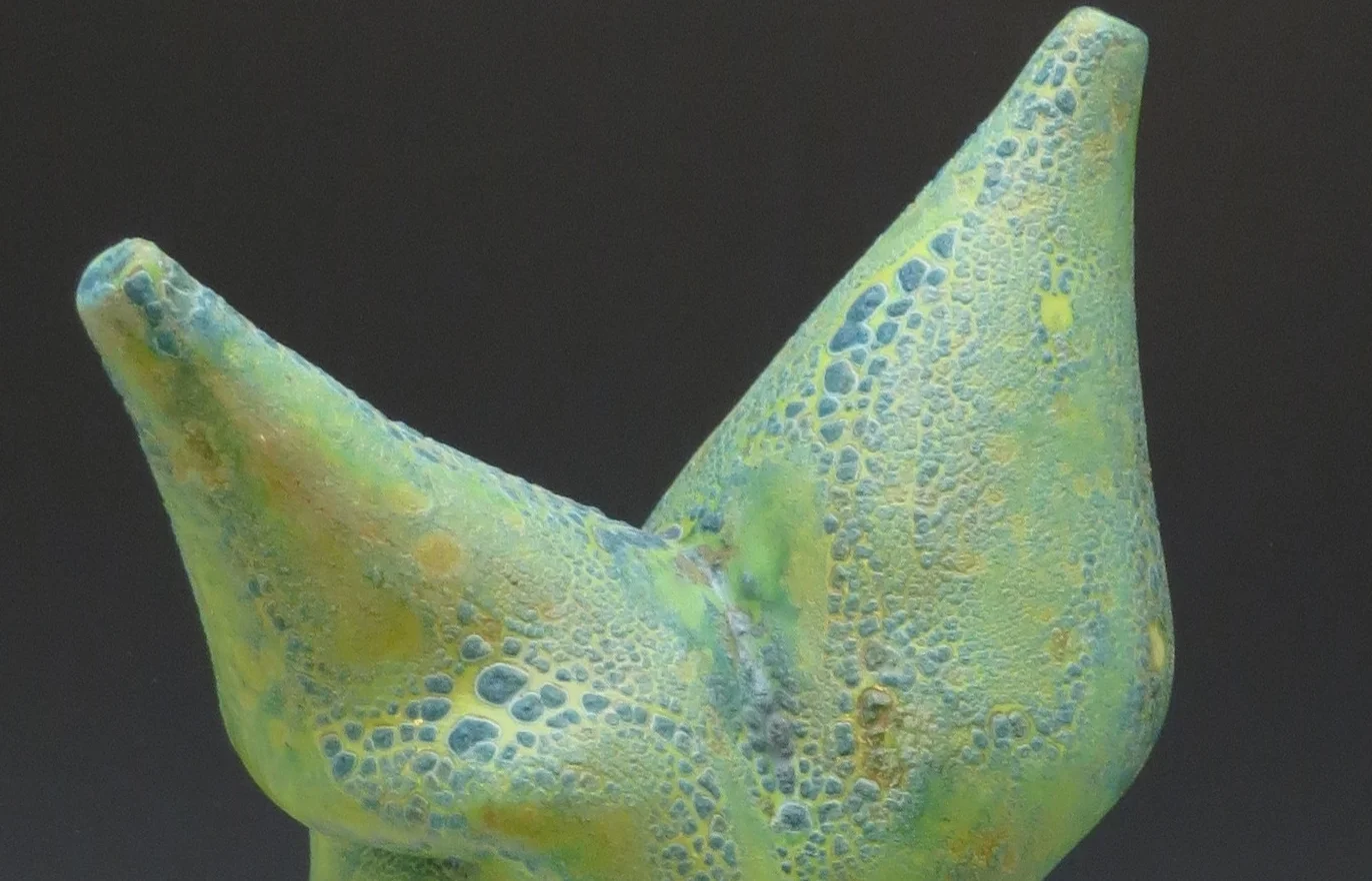 Double Thorny Asparagus