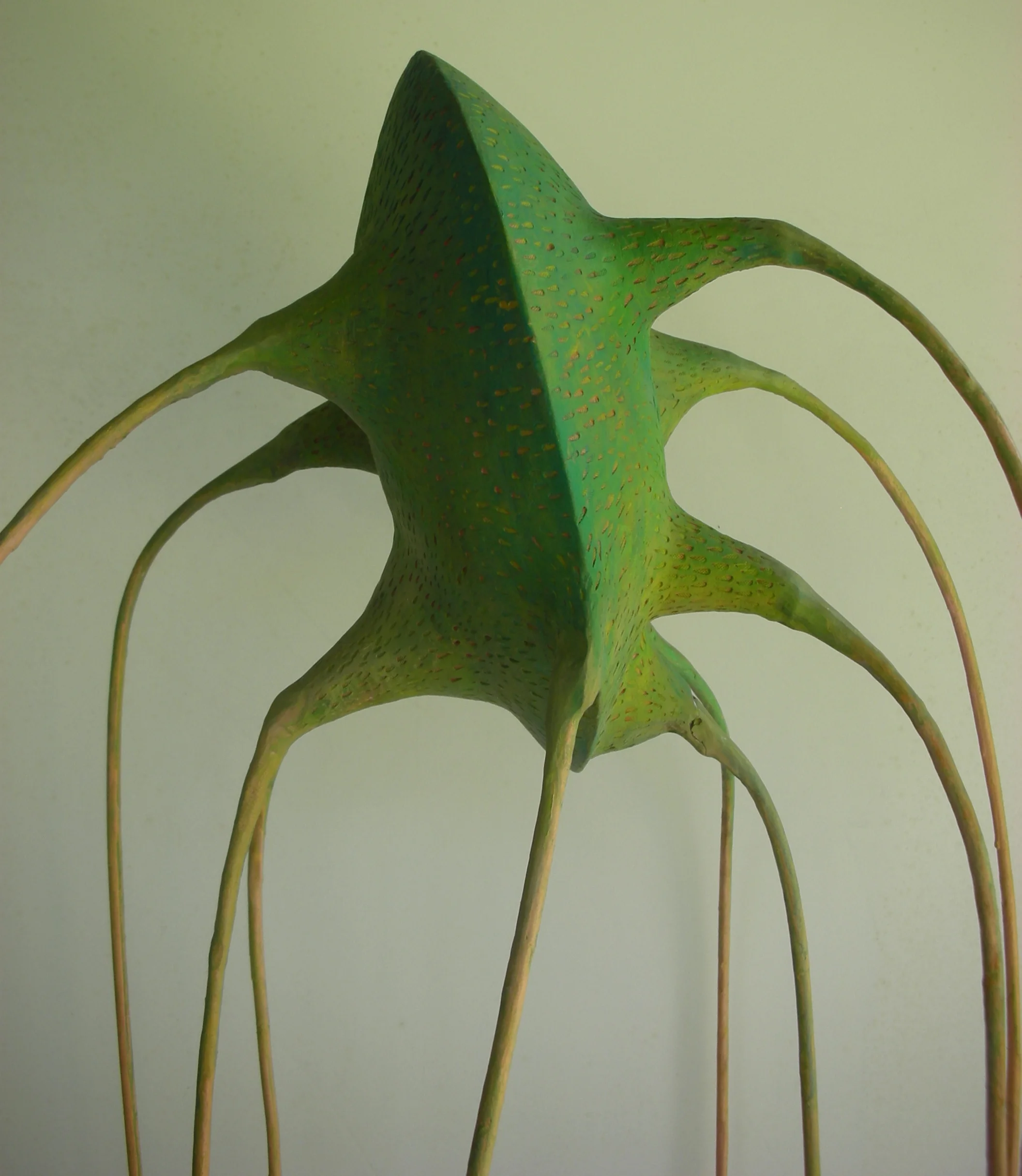DSCN0791.jpg