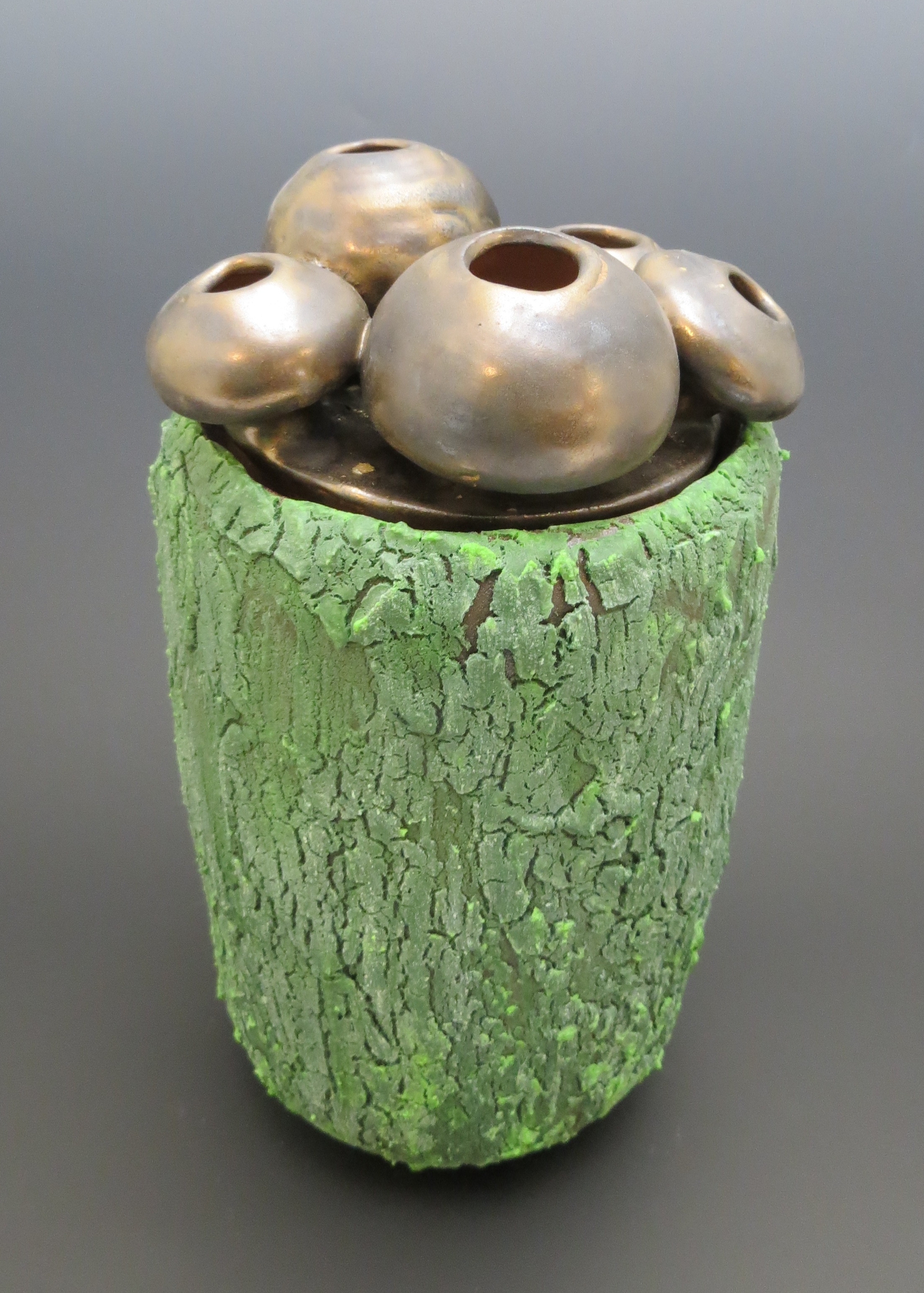 Bronze Shroom Jar