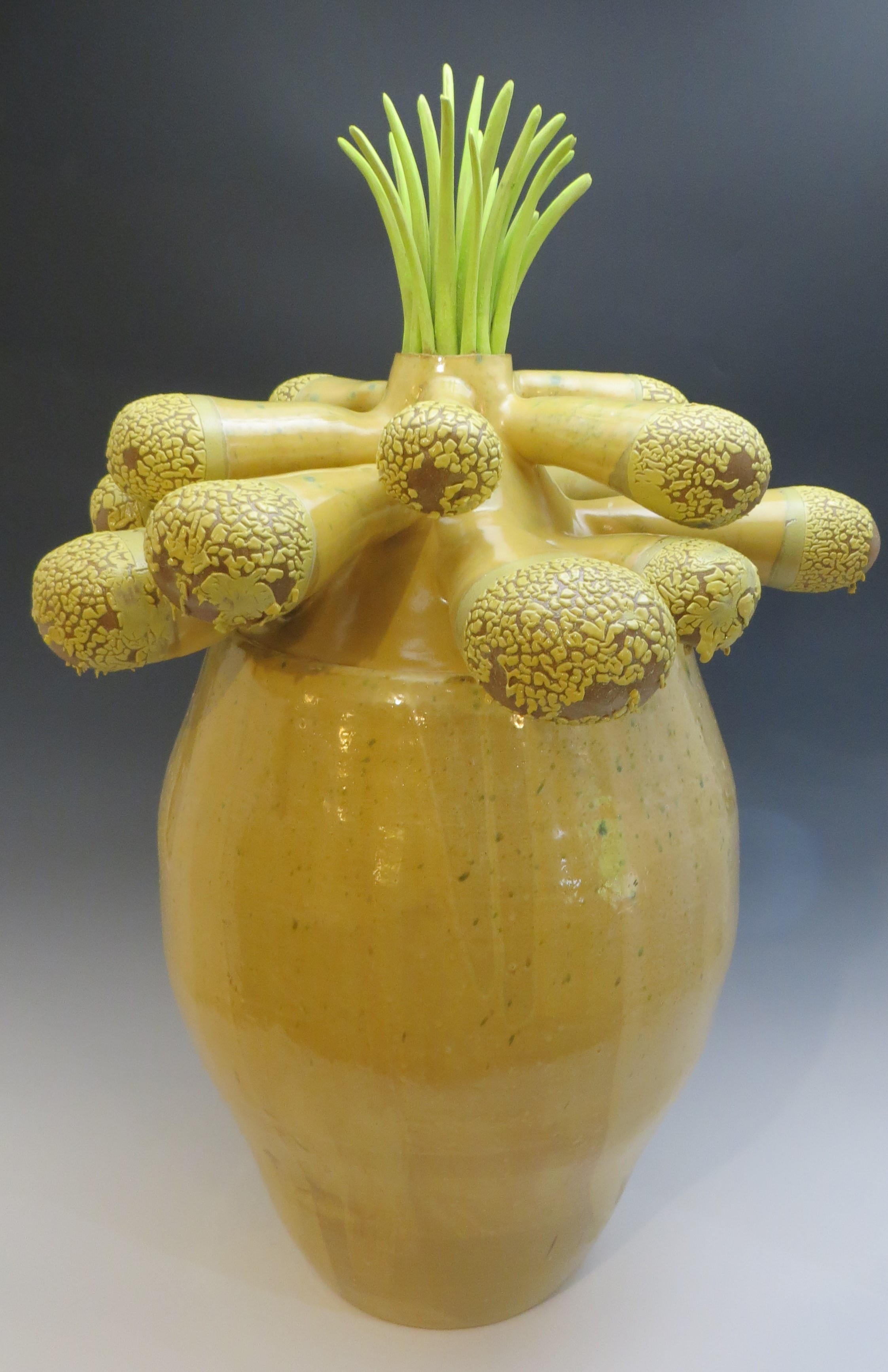 Blond Bromeliad