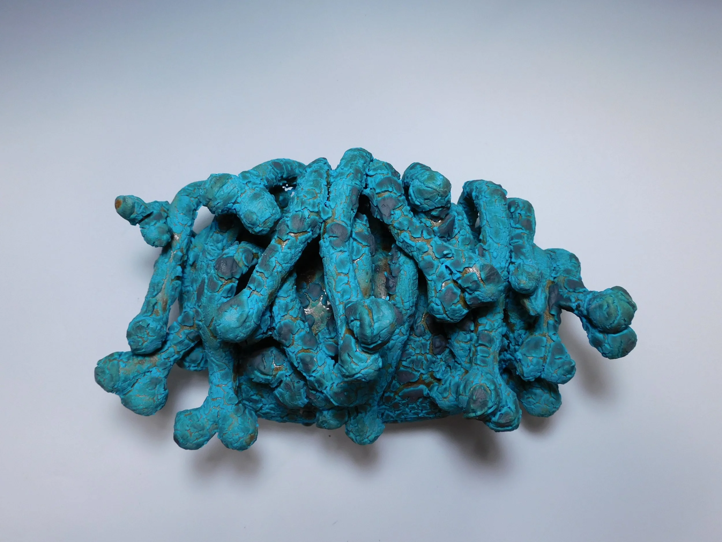 19. Namnoum_ Turquoise Two-Pawed Vine.JPG