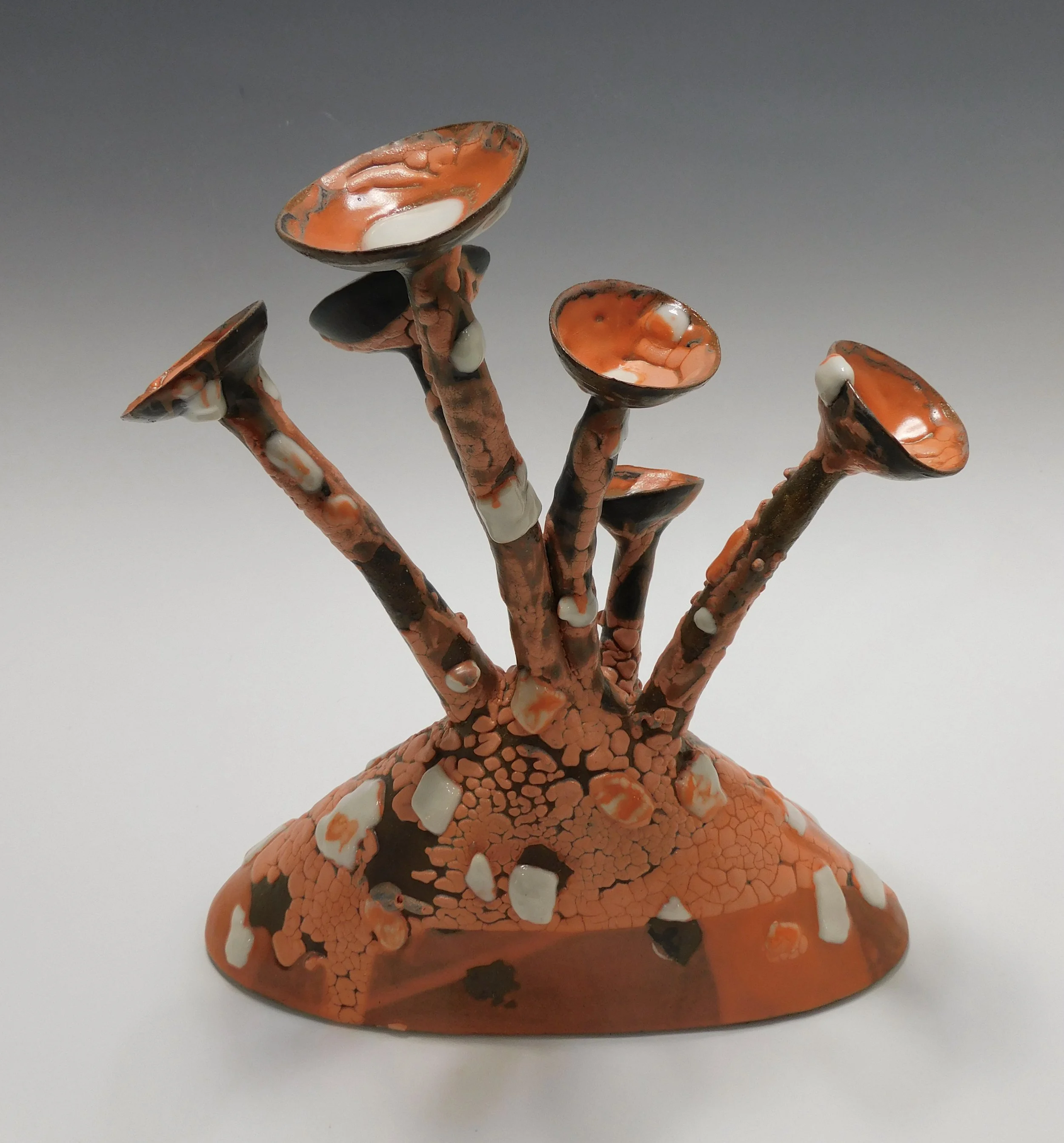 Orange Spotted Cup Flowers