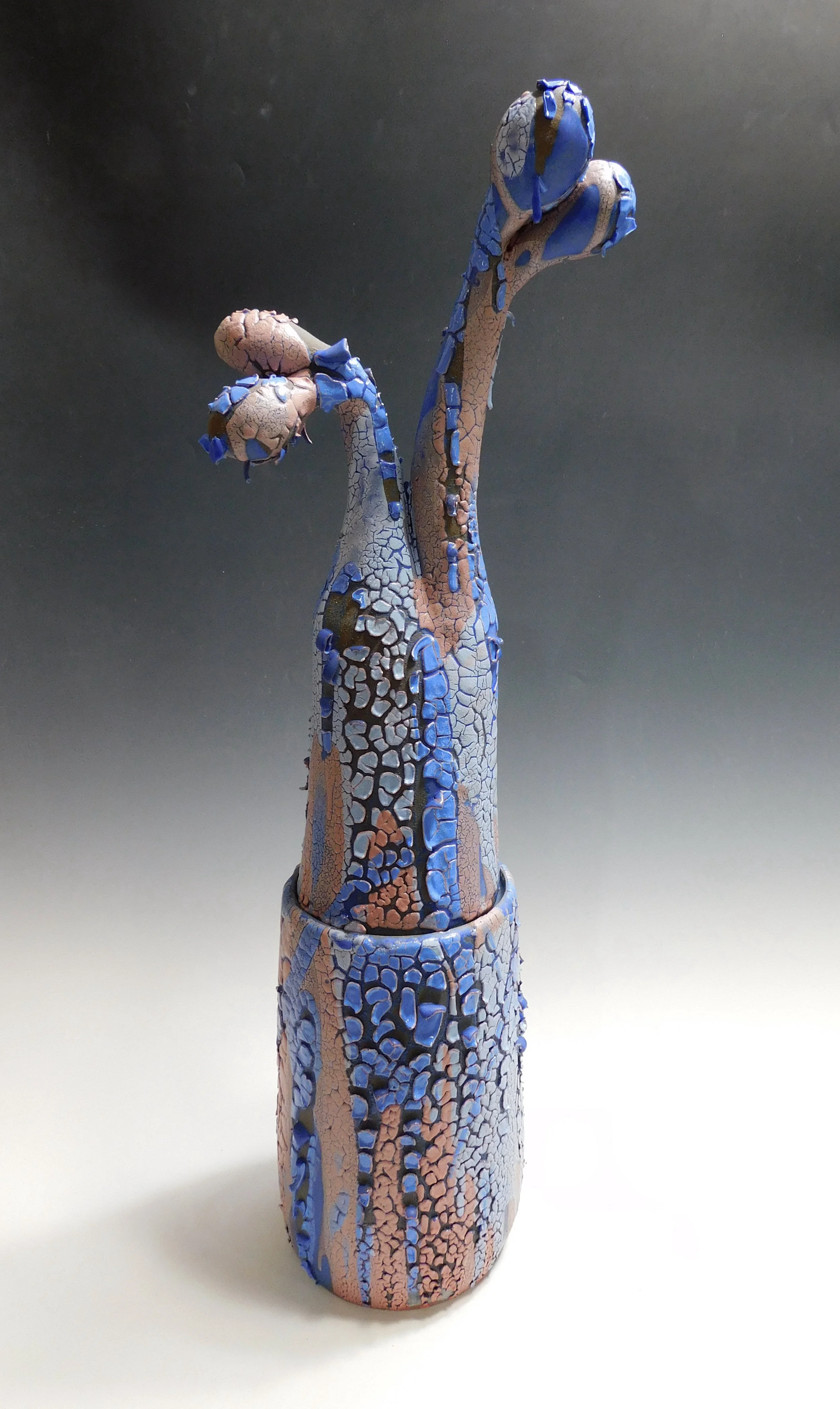NamnoumD_Blue and Pink Double branched Triple Budded.JPG