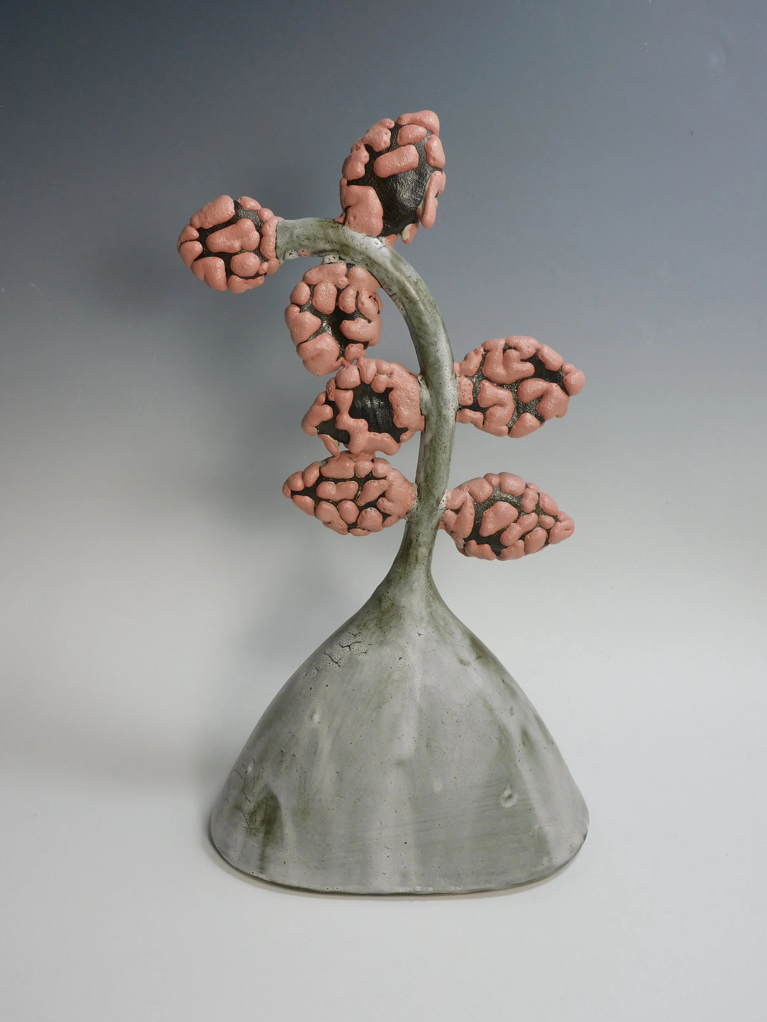 NamnoumD_Pink Fern...JPG