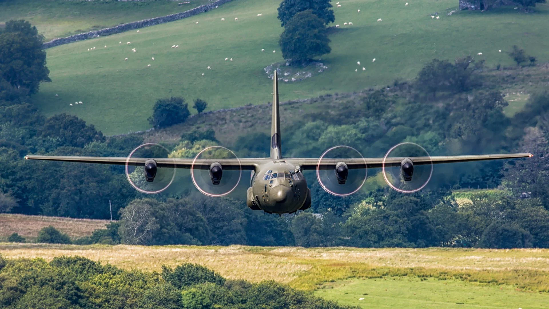 20140710-4D1B5397-Edit-Edit.jpg