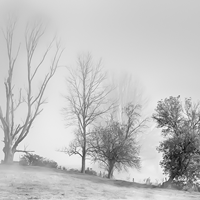 R Thomas Berner Photographer web