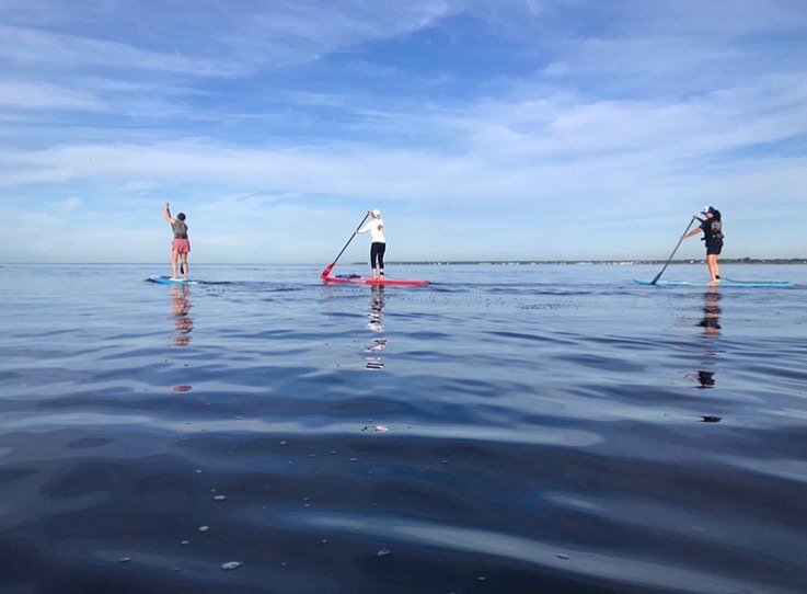 Spring is in the air! That means paddle season is right around the corner! ☀️🙌 #alohafriday #springvibes #paddleboard #sup #explore #gusu23