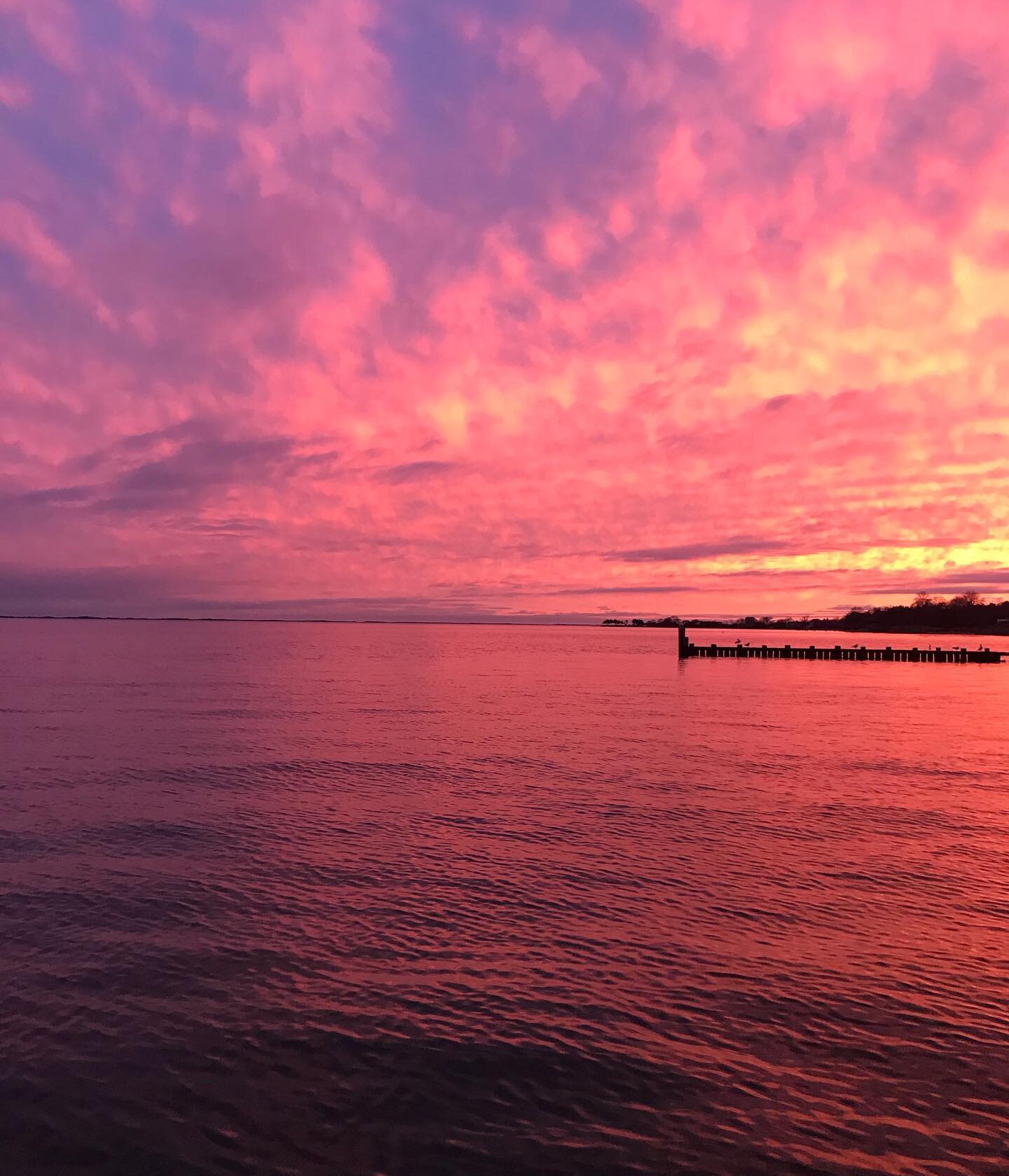 Aloha Friday! ✨ #sunset #januaryyskies #alohafriday #gusu23