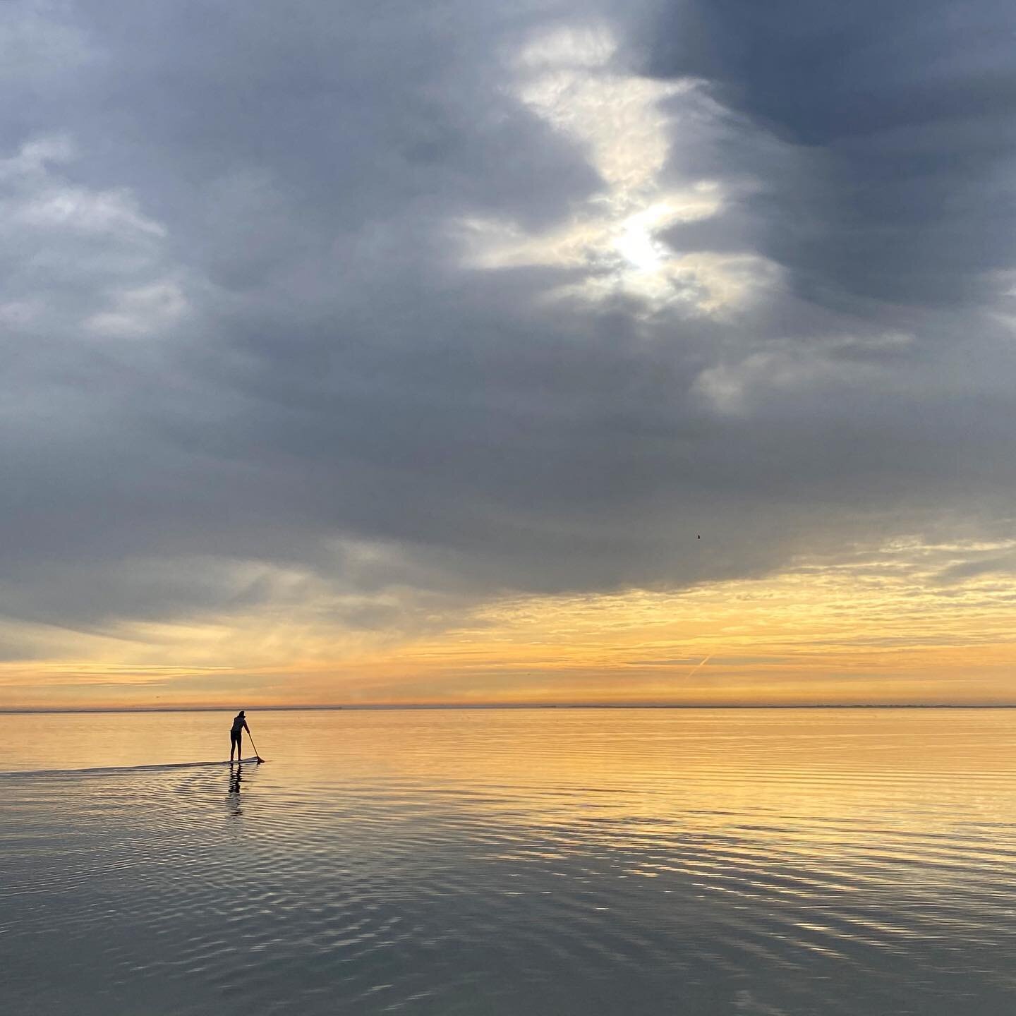 January ✨ #reflections #sup #paddleboard #glassy #gusu23