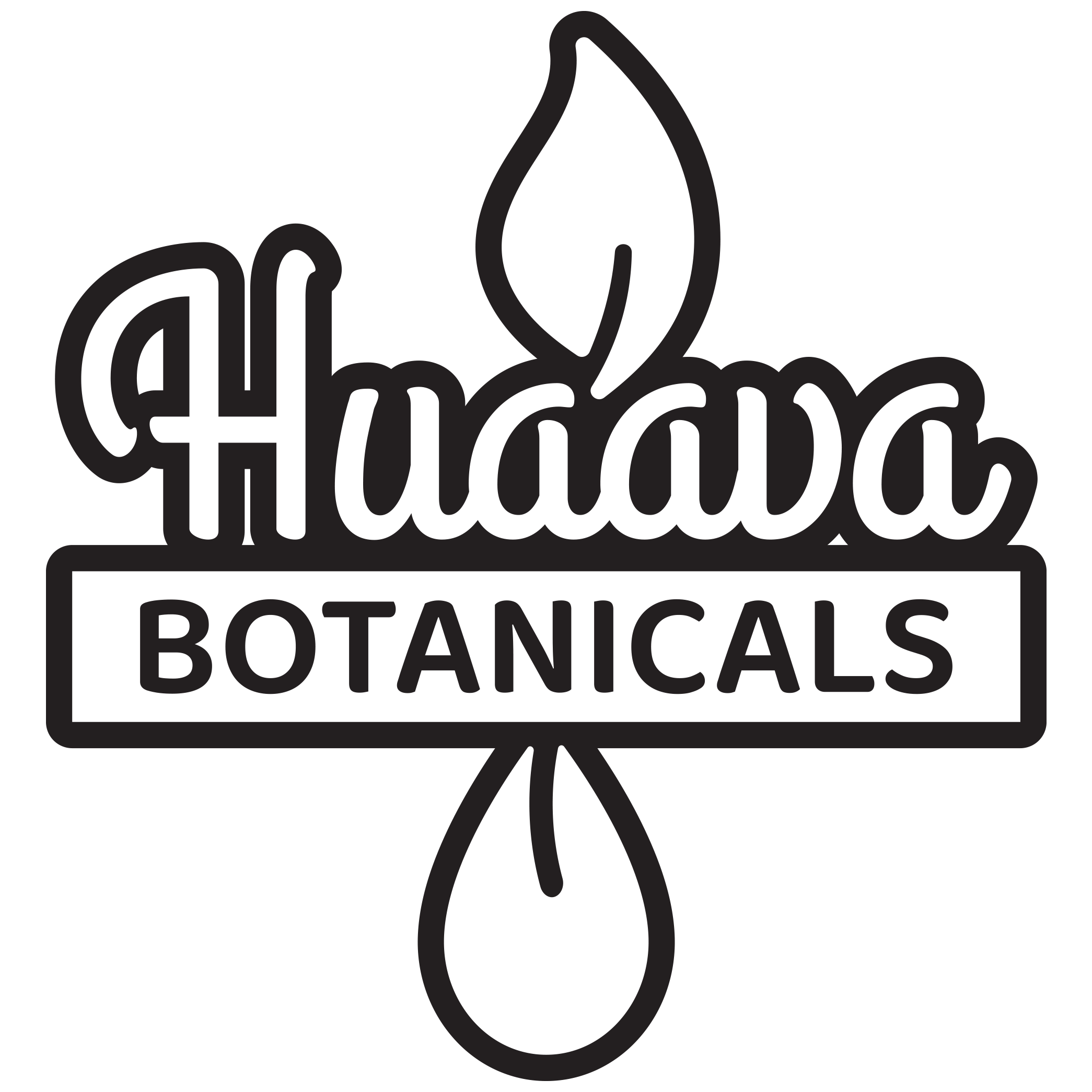 HuaavaBotanicals-Logo.png