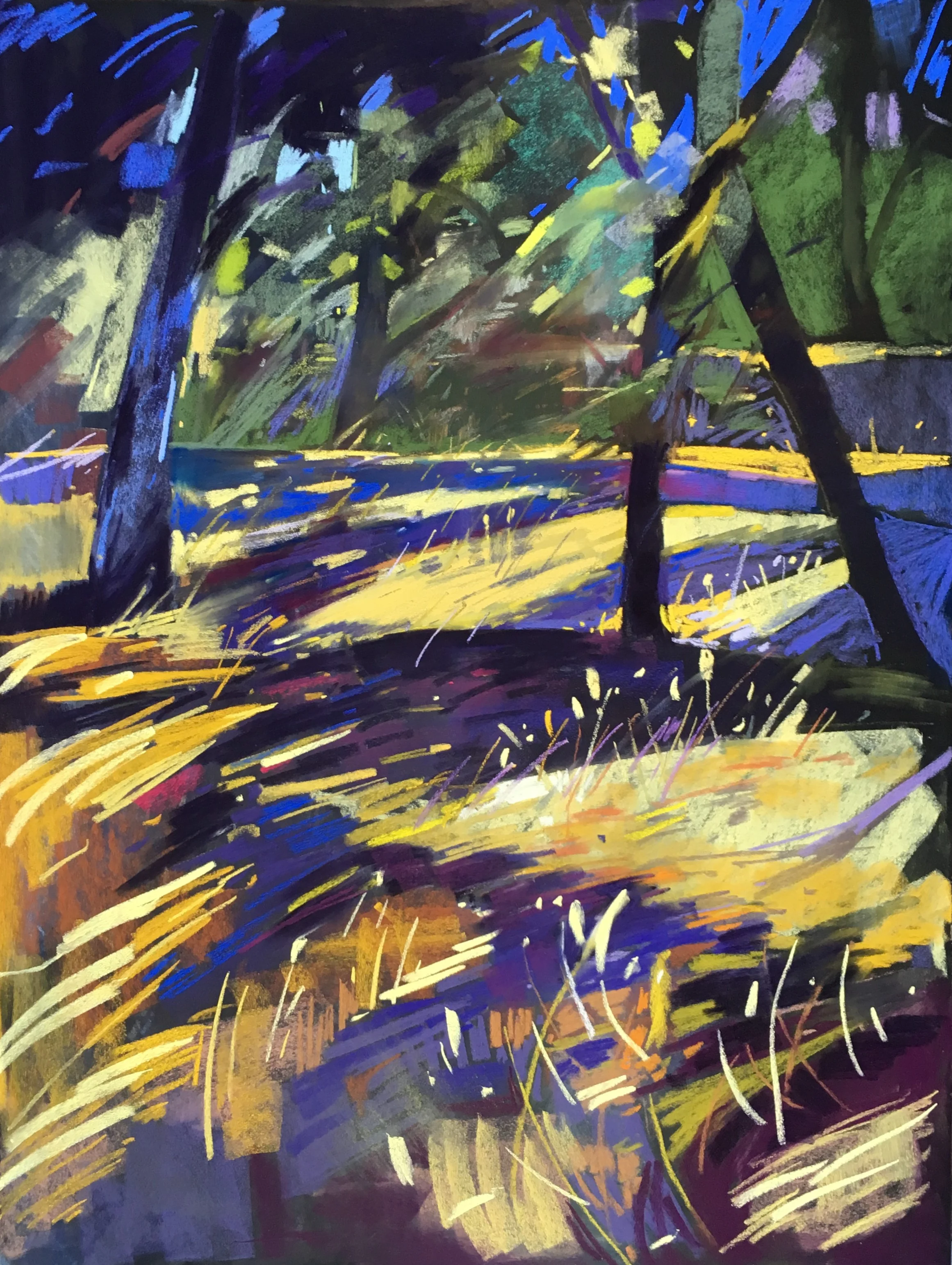 Sonoma Golden Glow, AVAILABLE 23x31