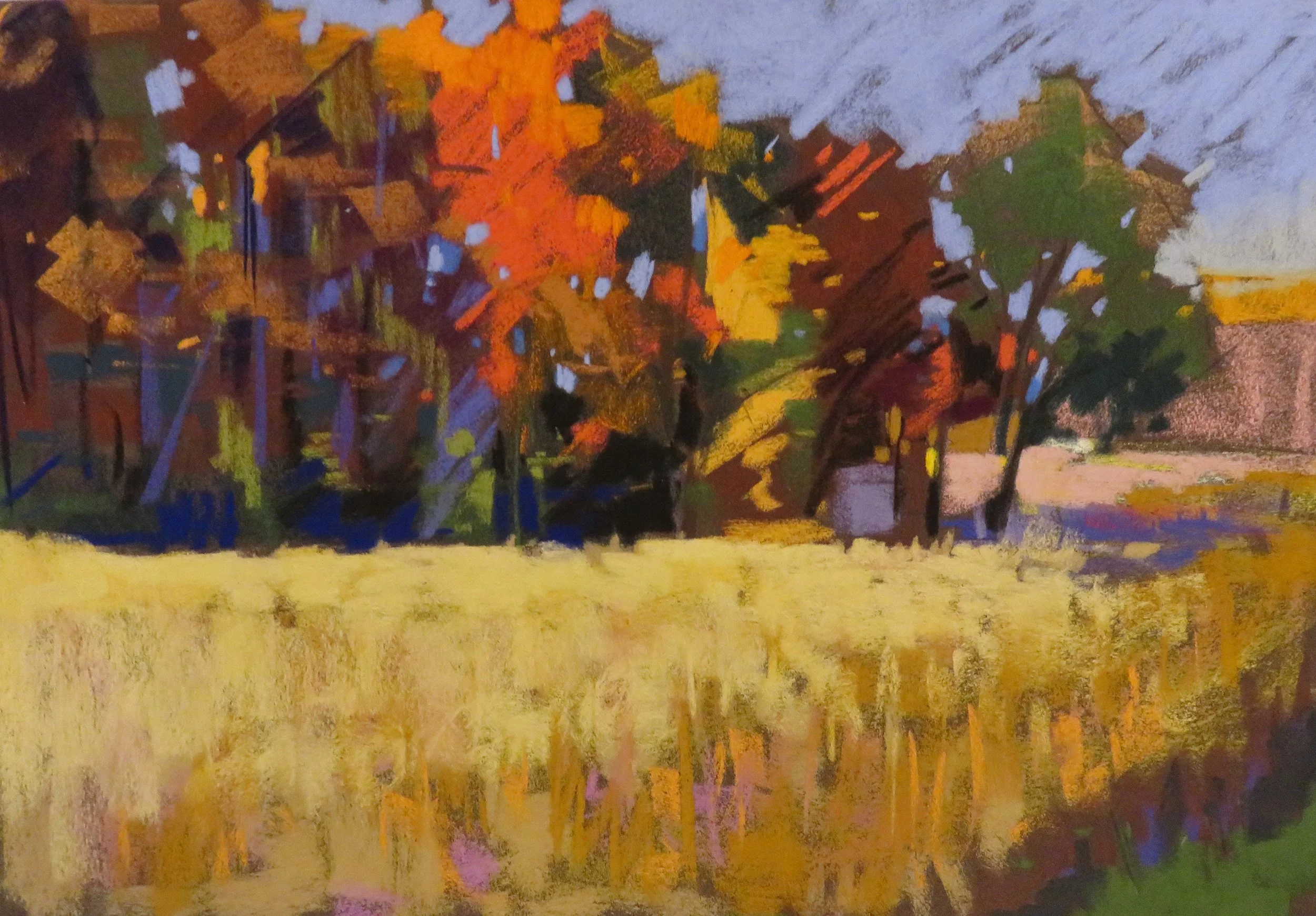 Maple Grove Summer Fields 16x10