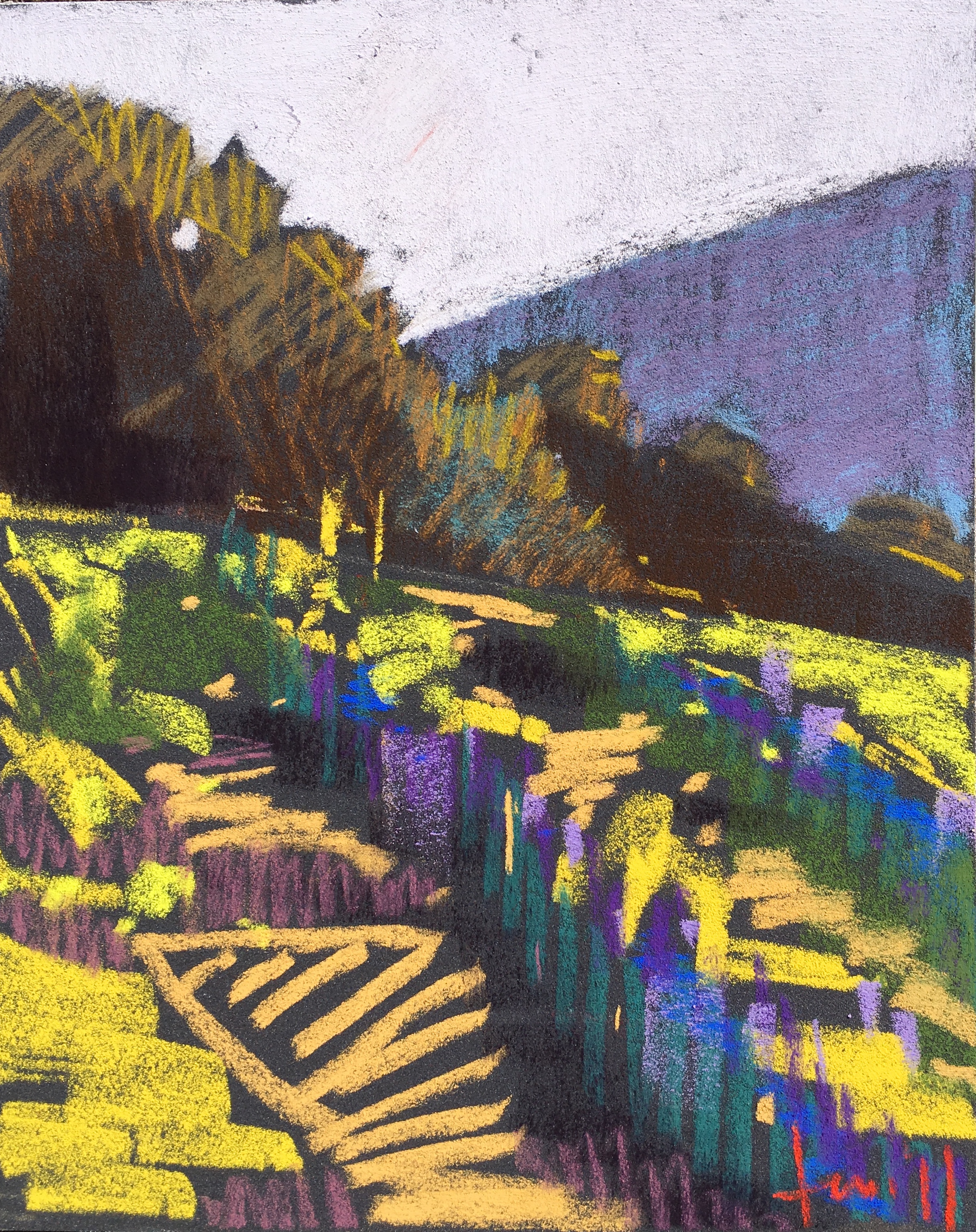 Nancy’s View 8x10 SOLD