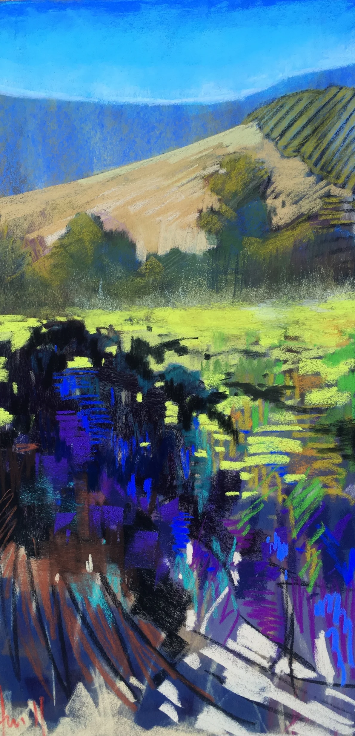 “Morning Shade” 12x24 Sonoma Plein Air SOLD