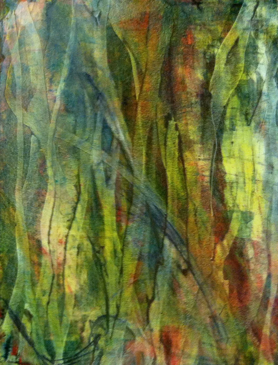 Spring Forest