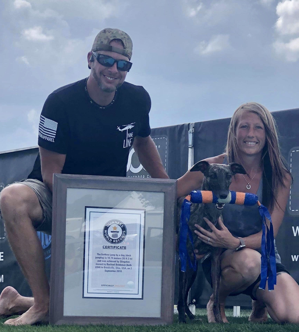 Dock Diving Trainers — Einstein Dog Training