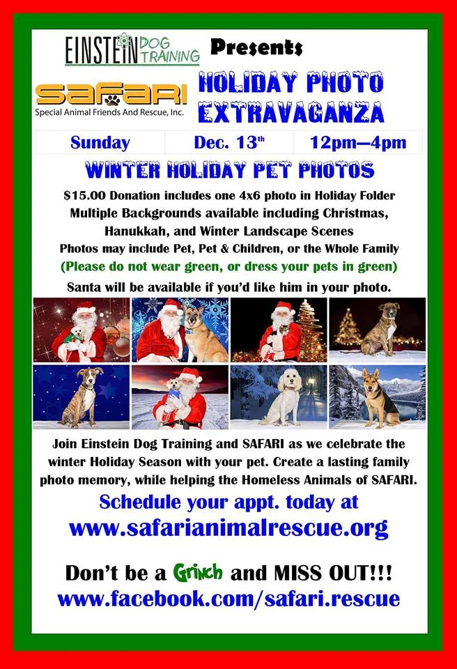 Holiday Photos with Safari Animal Rescue in Oakland County, MI