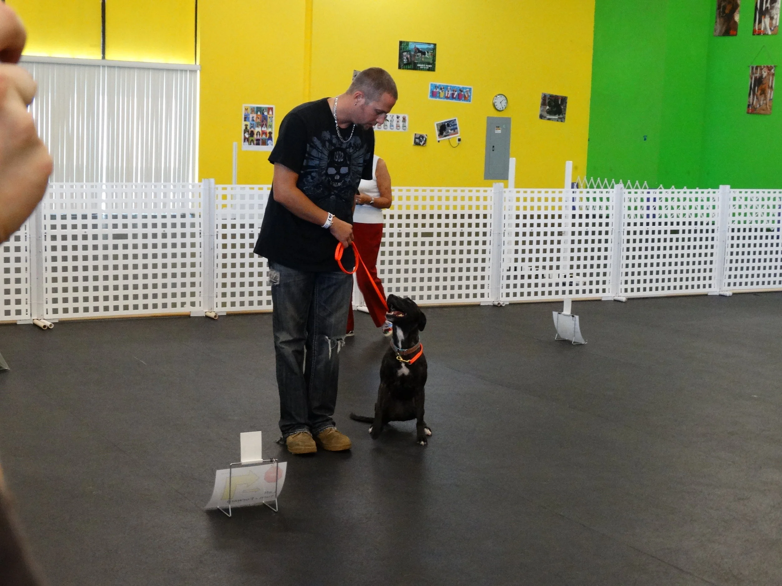 January is National Dog Training month!