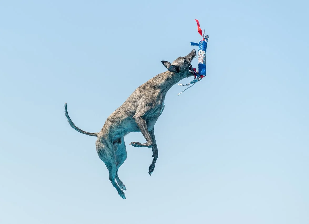 Einstein's UDD Season Kickoff