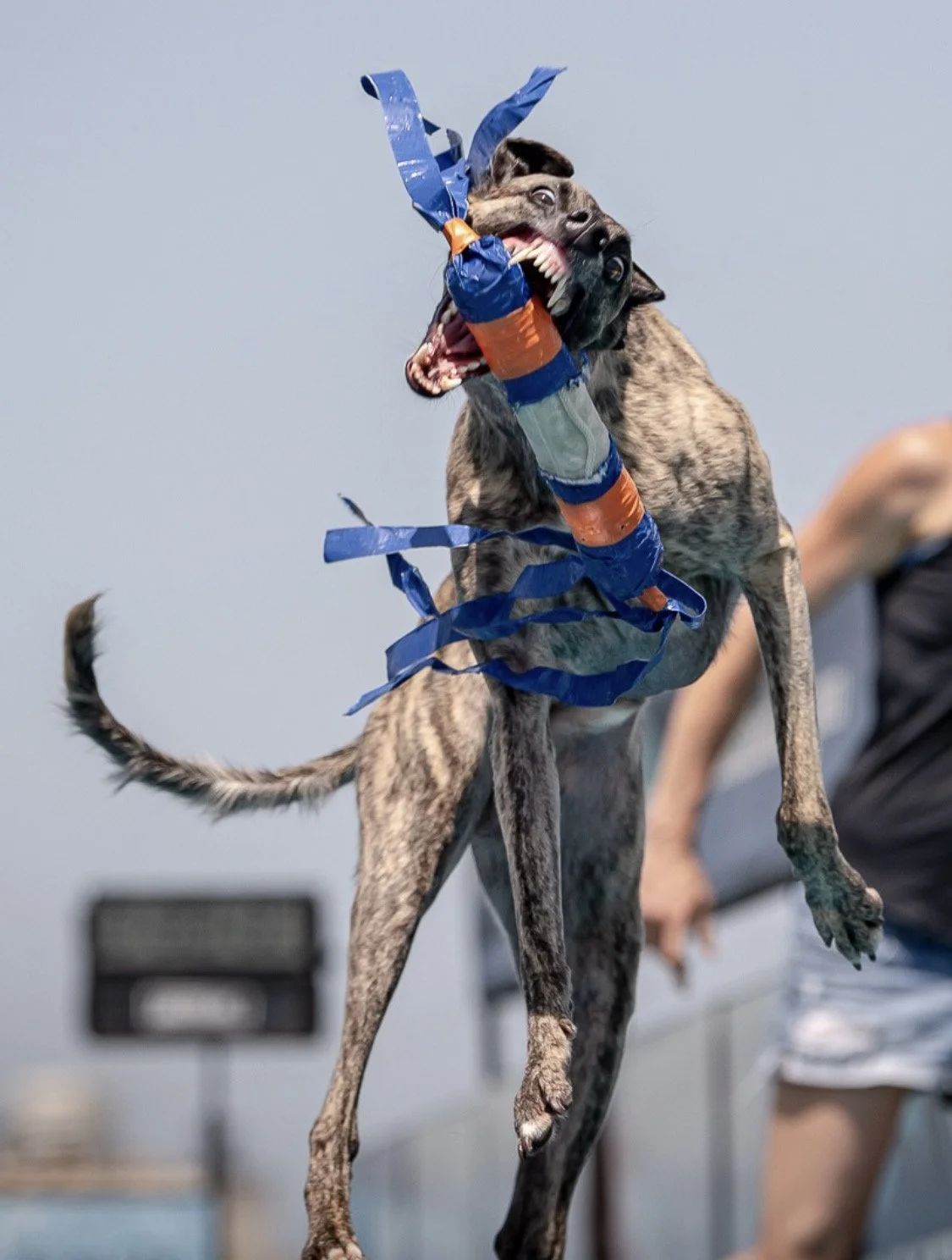 Einstein's UDD Midnight Championship Qualifier