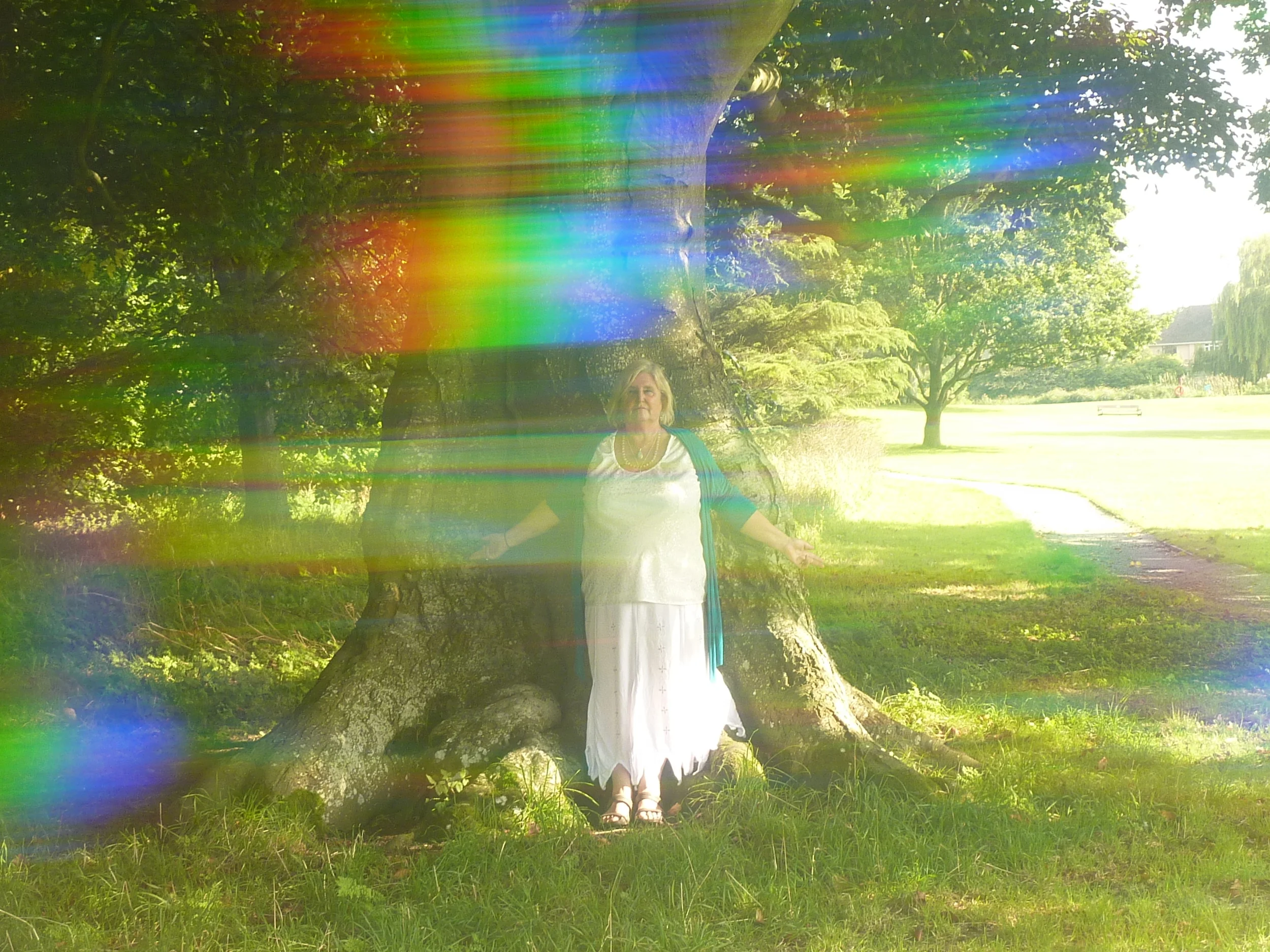 Abbey grounds Pilgrimage