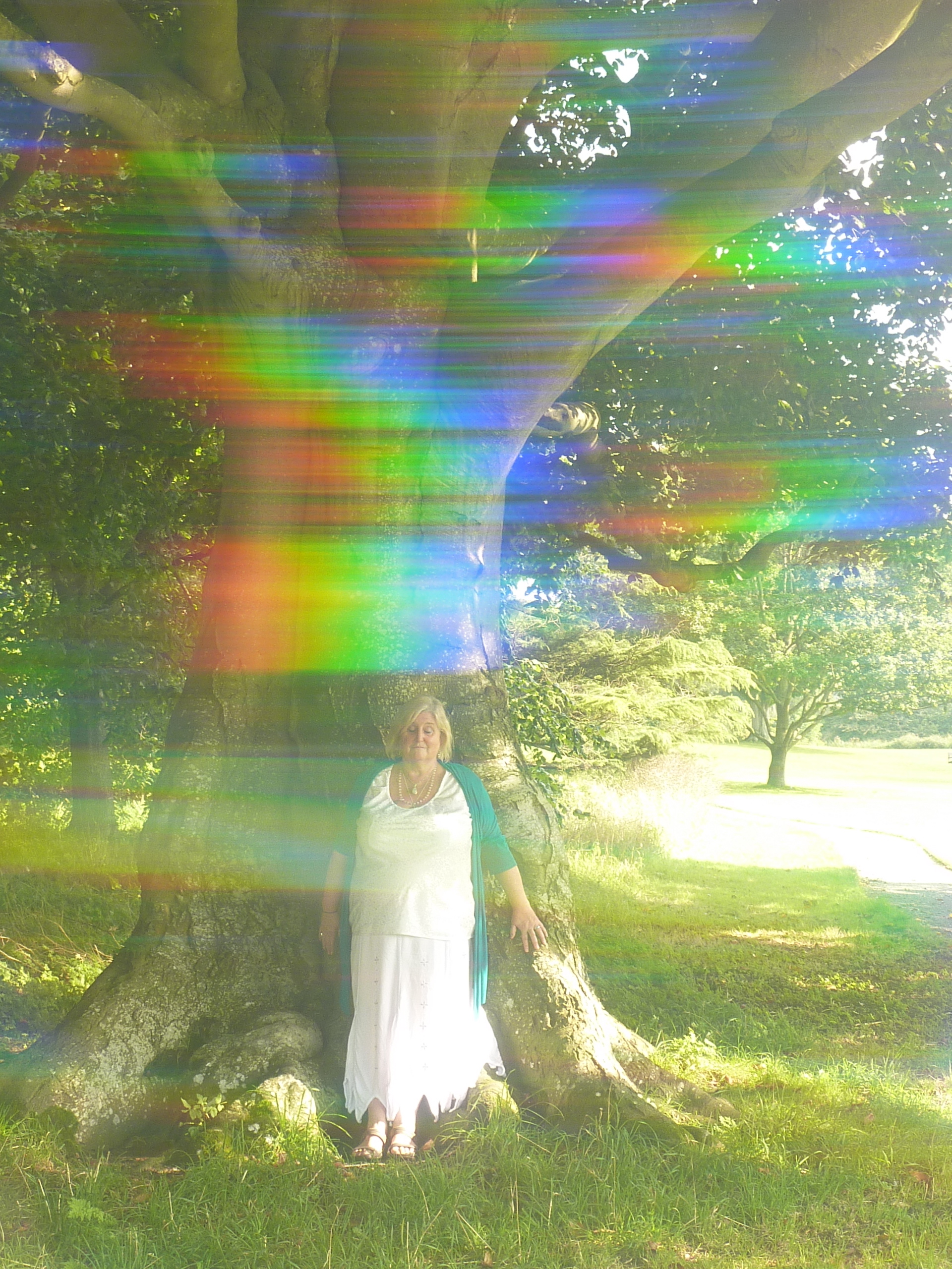 Abbey grounds Pilgrimage
