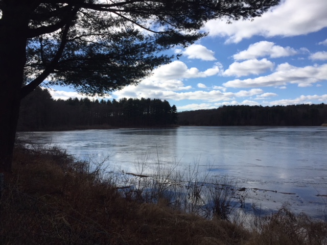 USA Journey to the Heart 2018- Blogpost - Daily Journal:
