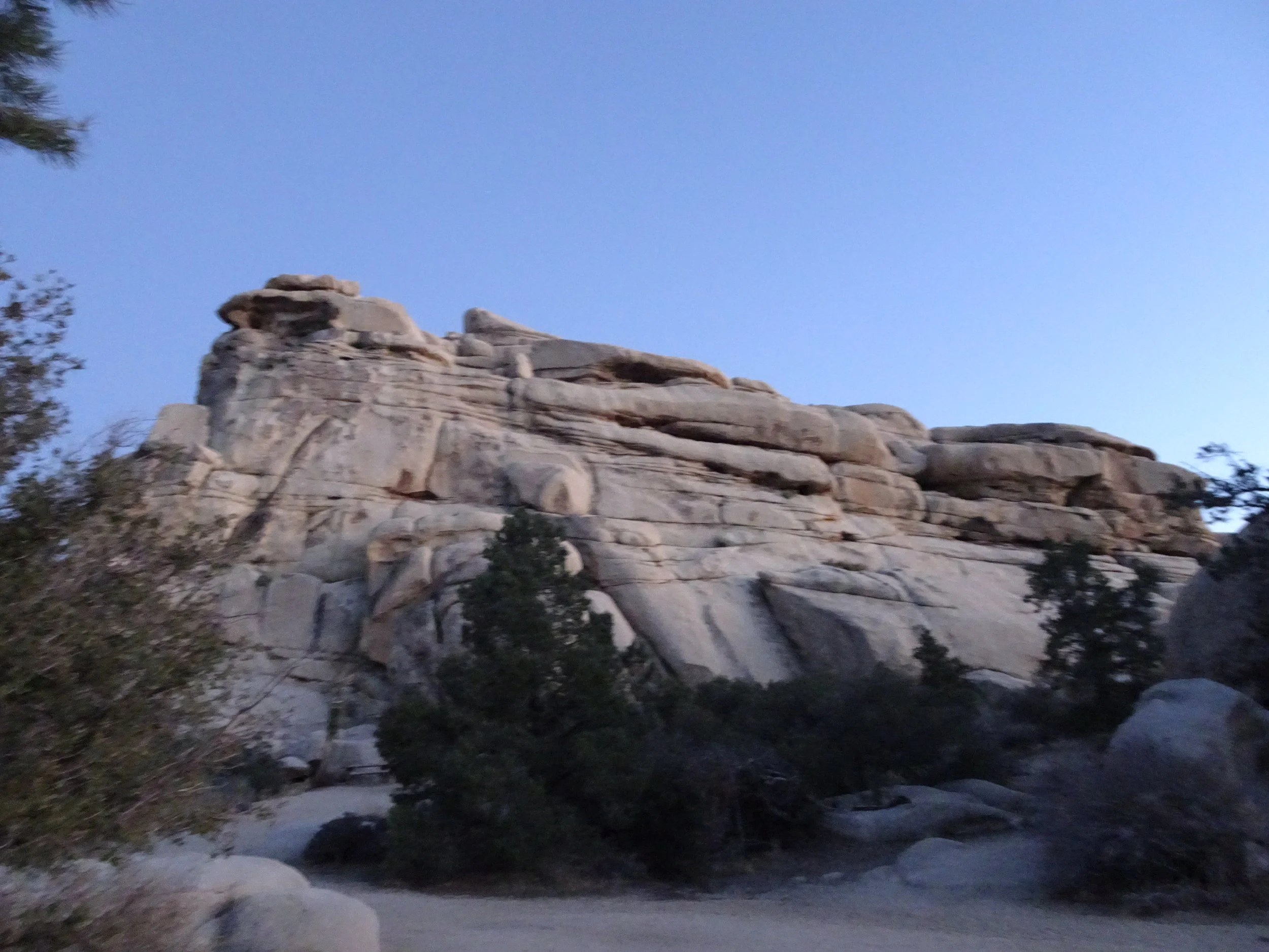 The trip to Joshua Trees 4.2.18  Los Angeles –City of Angels:  